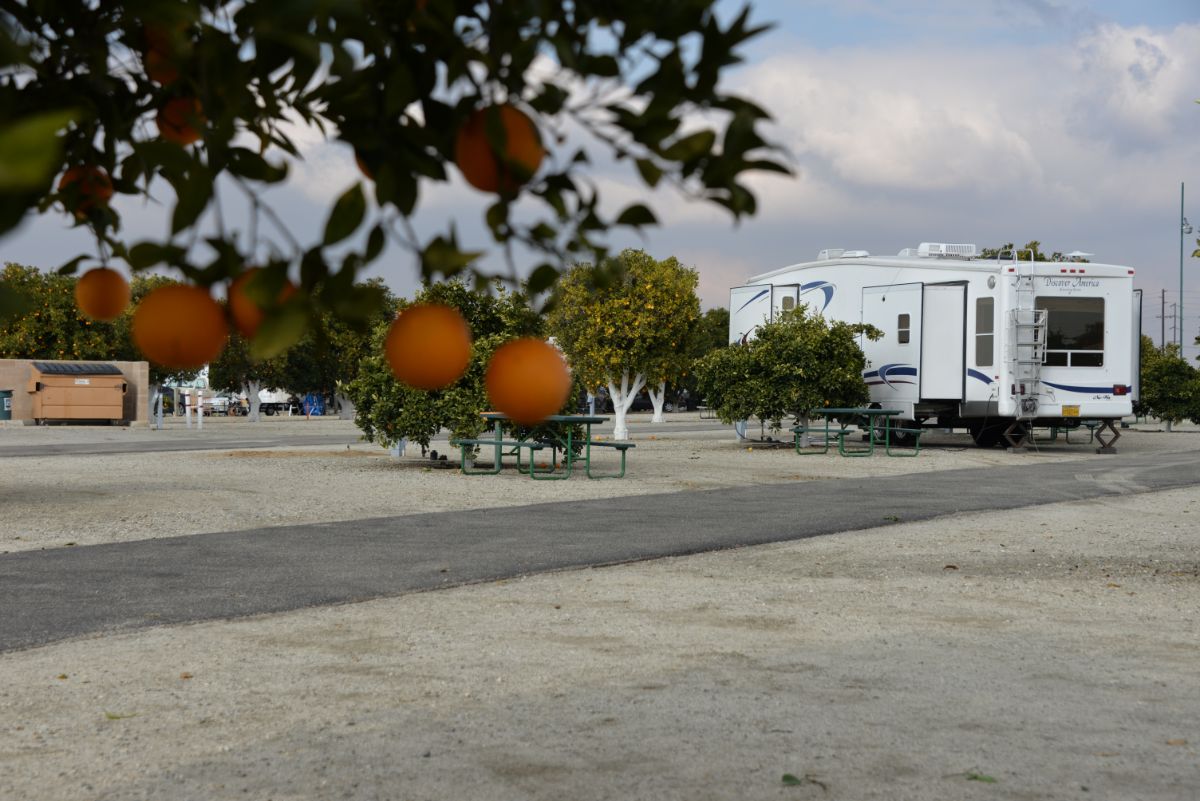 Orange Grove RV Park