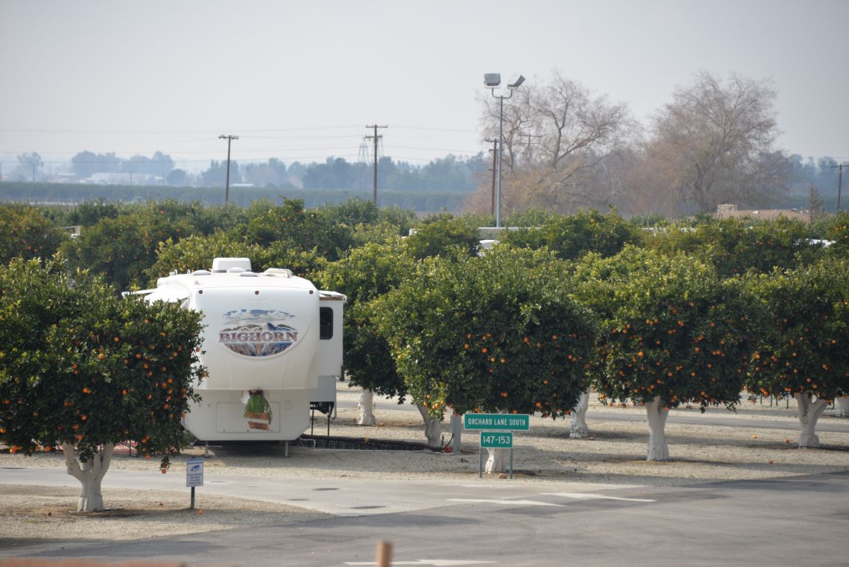 Orange Grove RV Park
