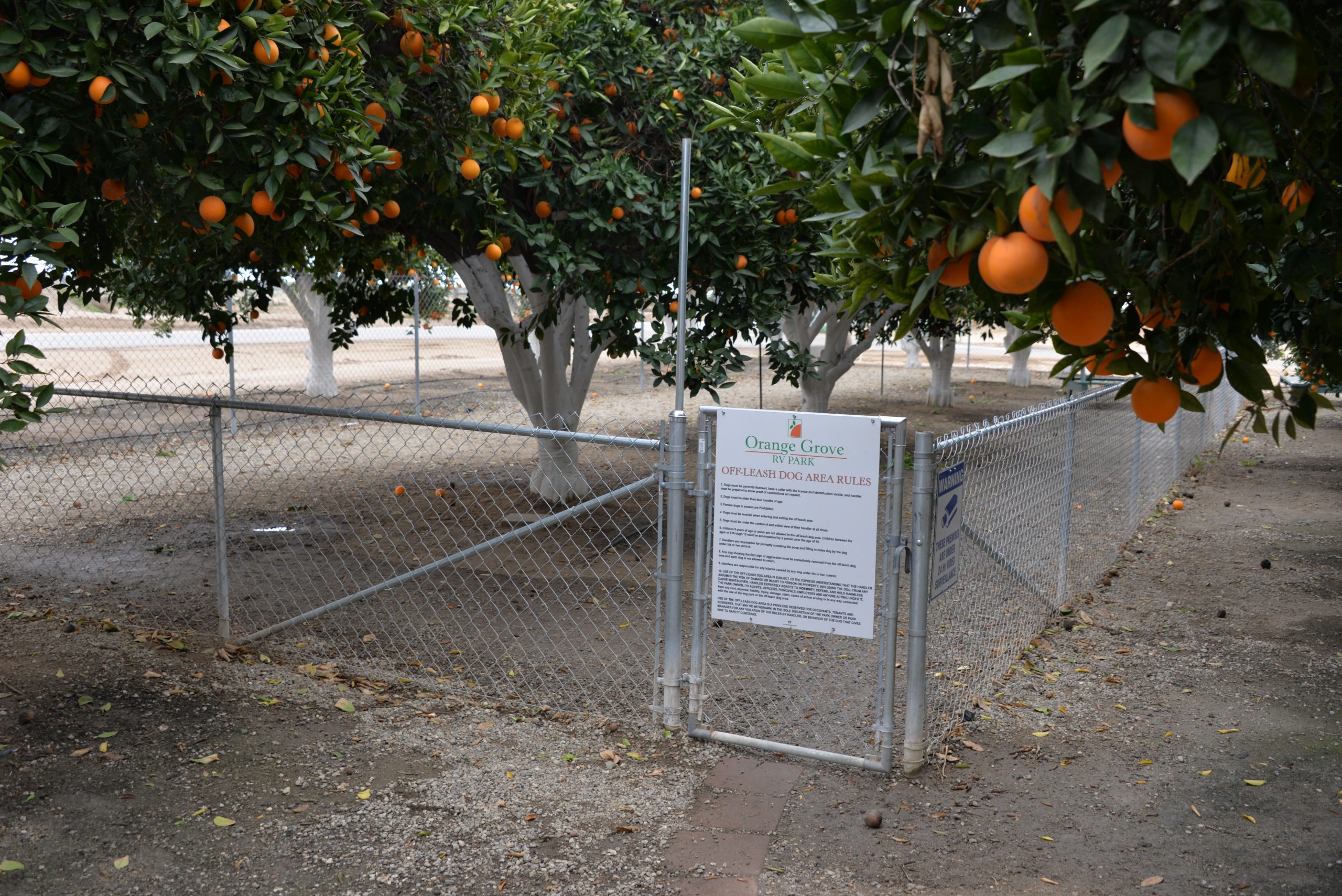 Orange Grove RV Park