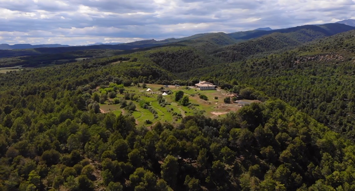 Forest Days Wild Camp