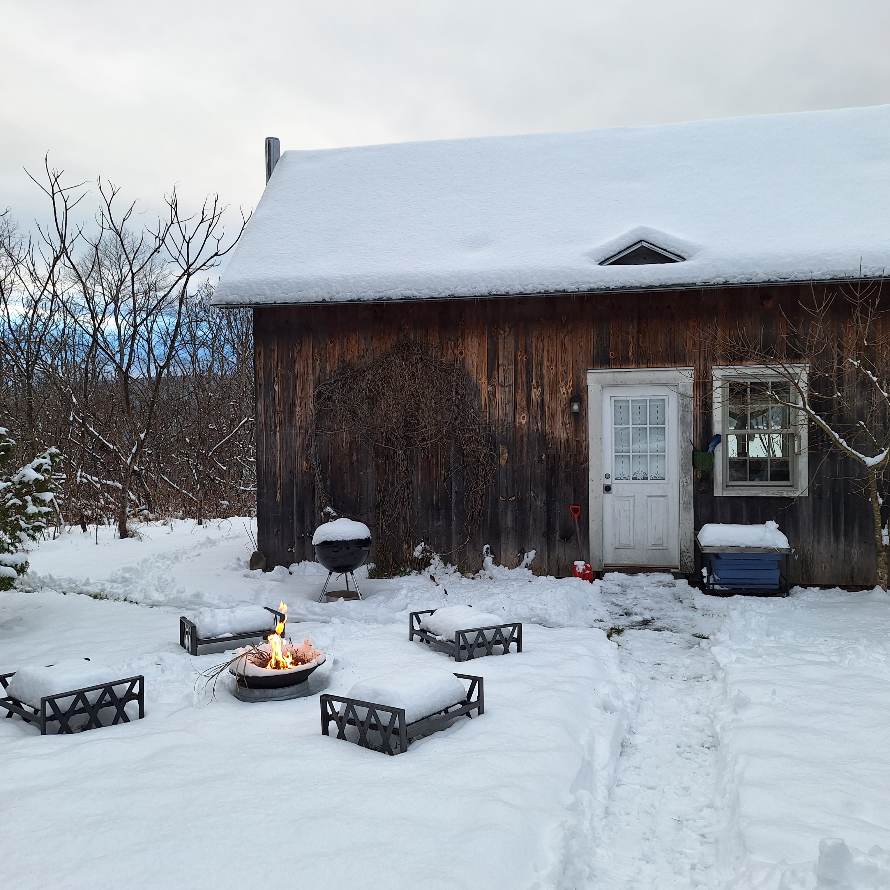 Halfpipe Farm