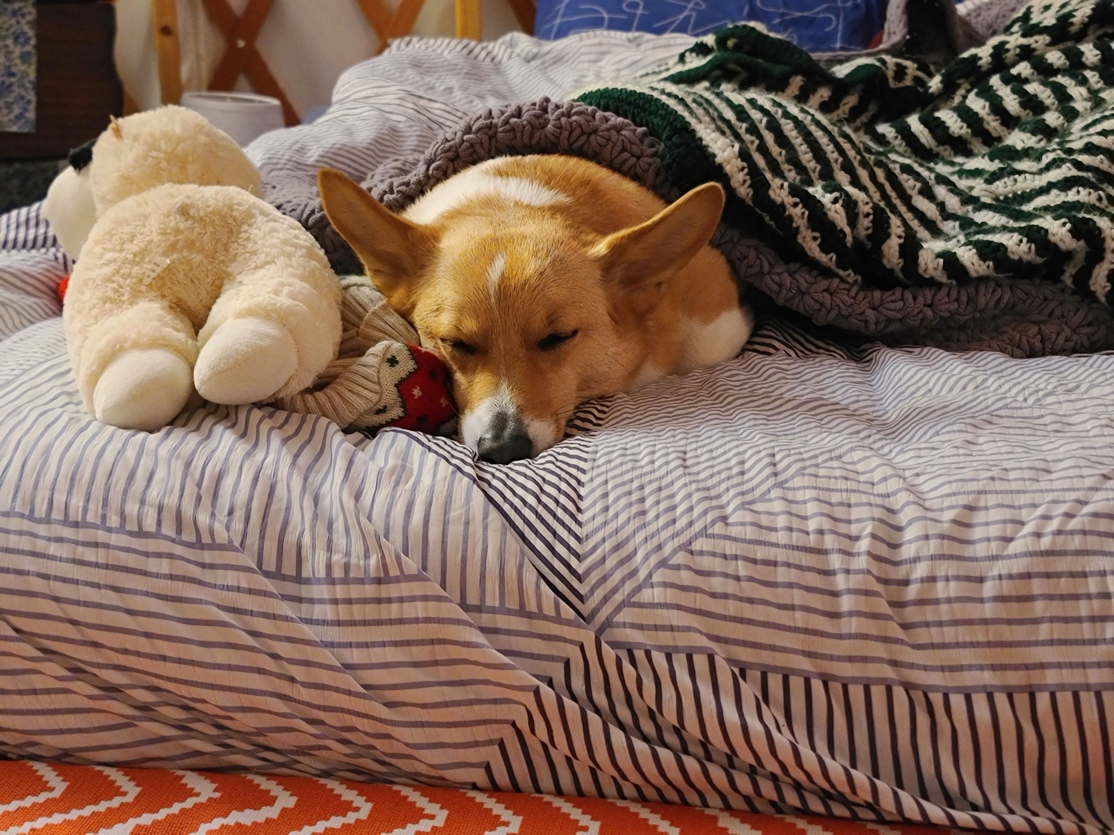 Glamping Yurt in Woods of Franklin