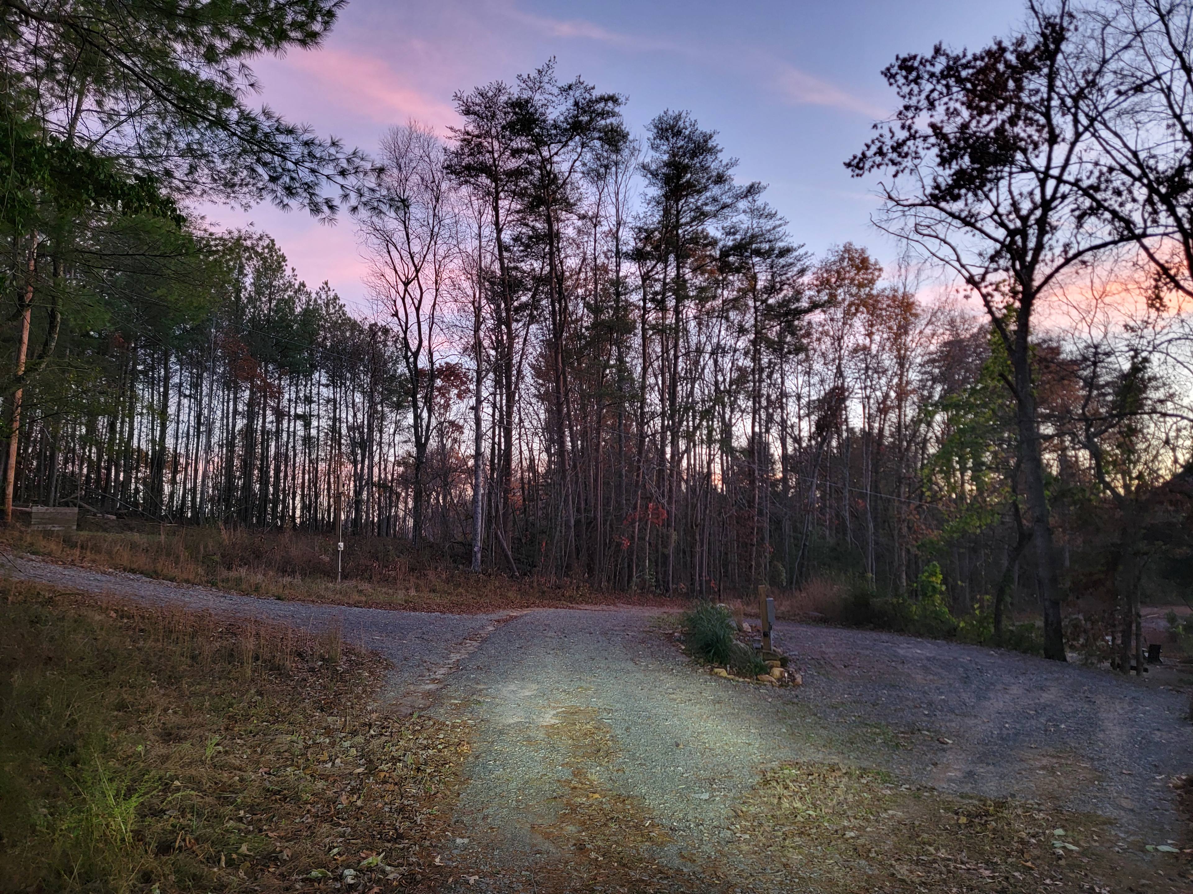 White Oak Reserve