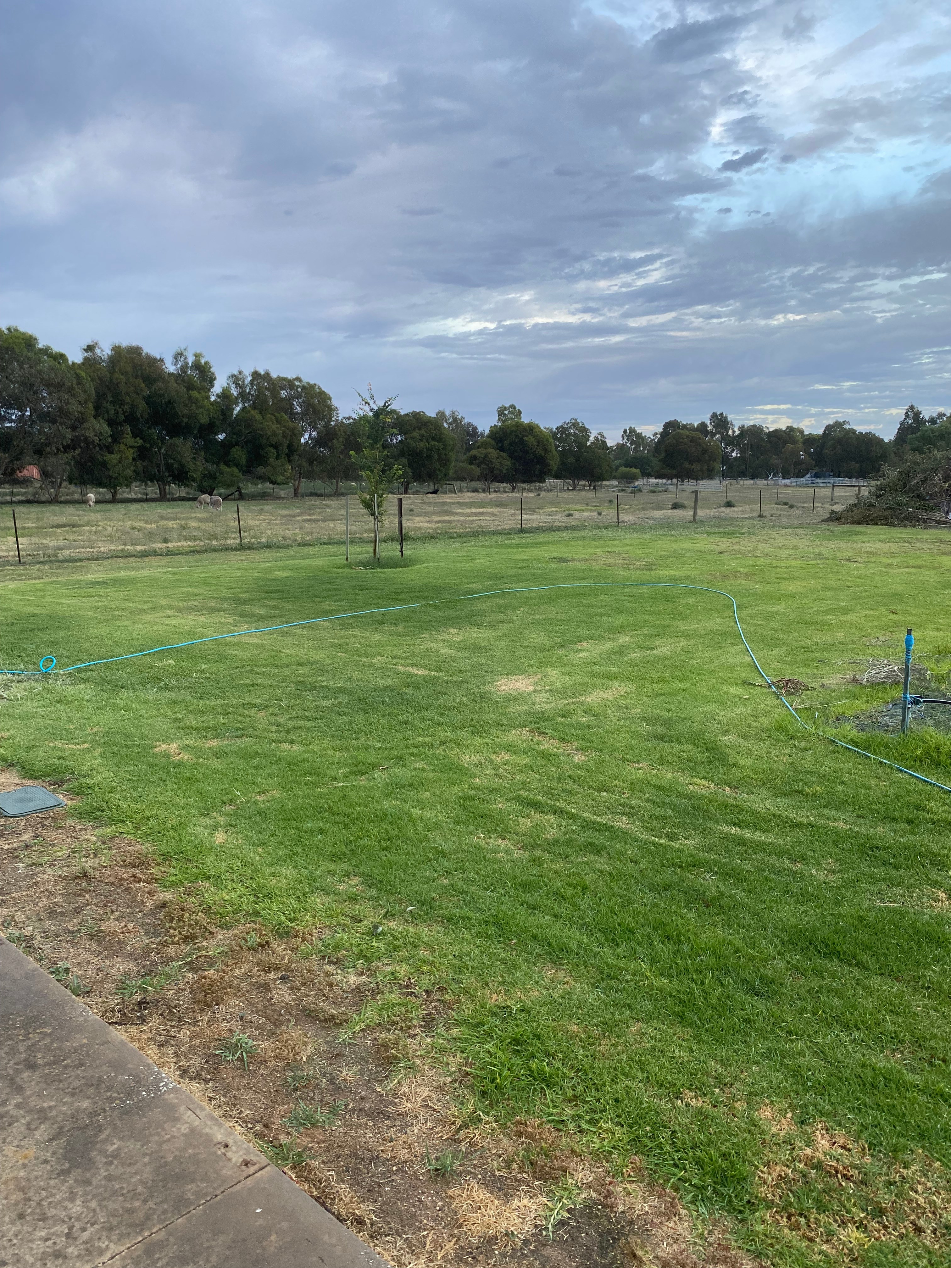 Denitom Acres