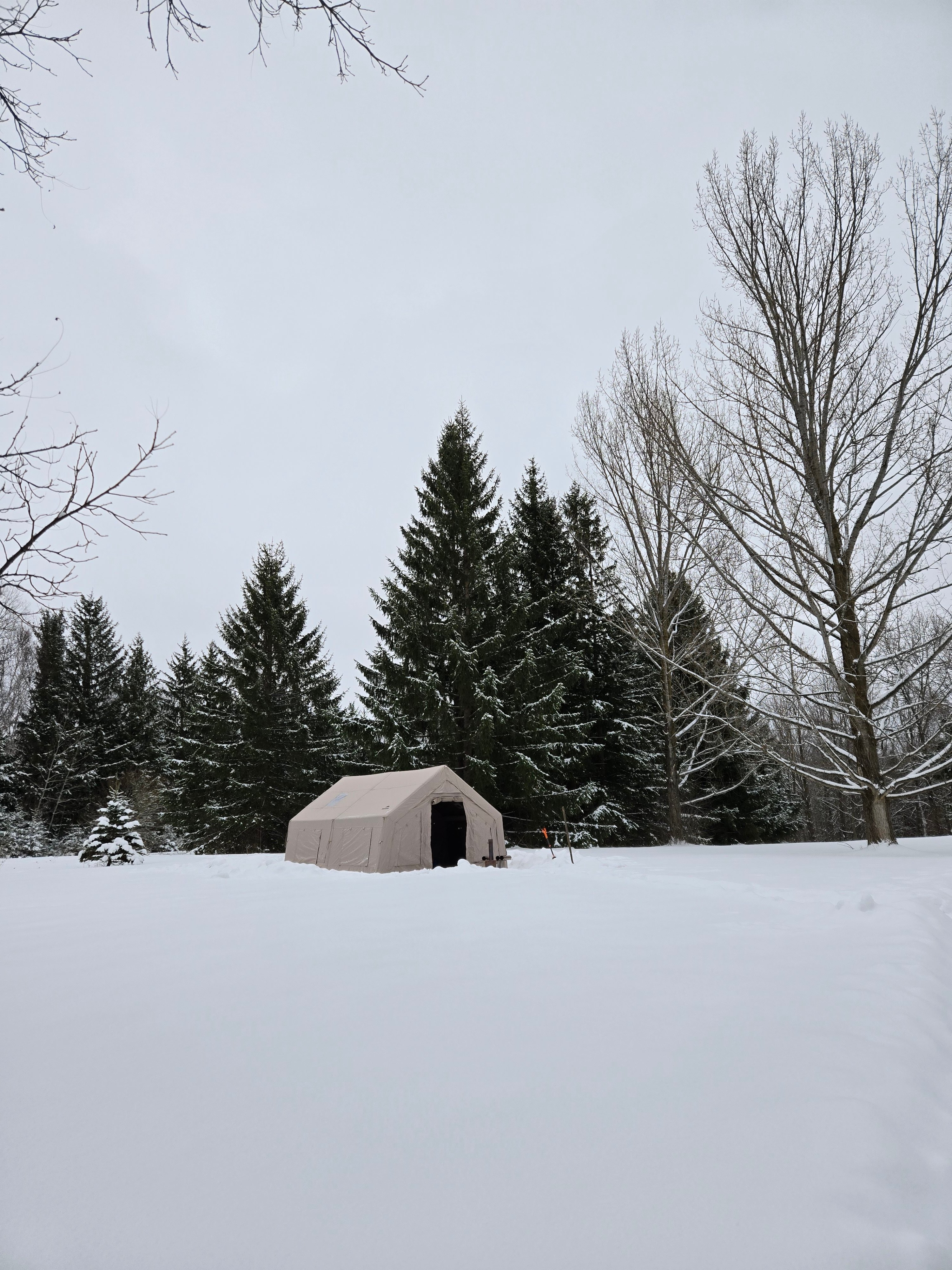 Birch Creek