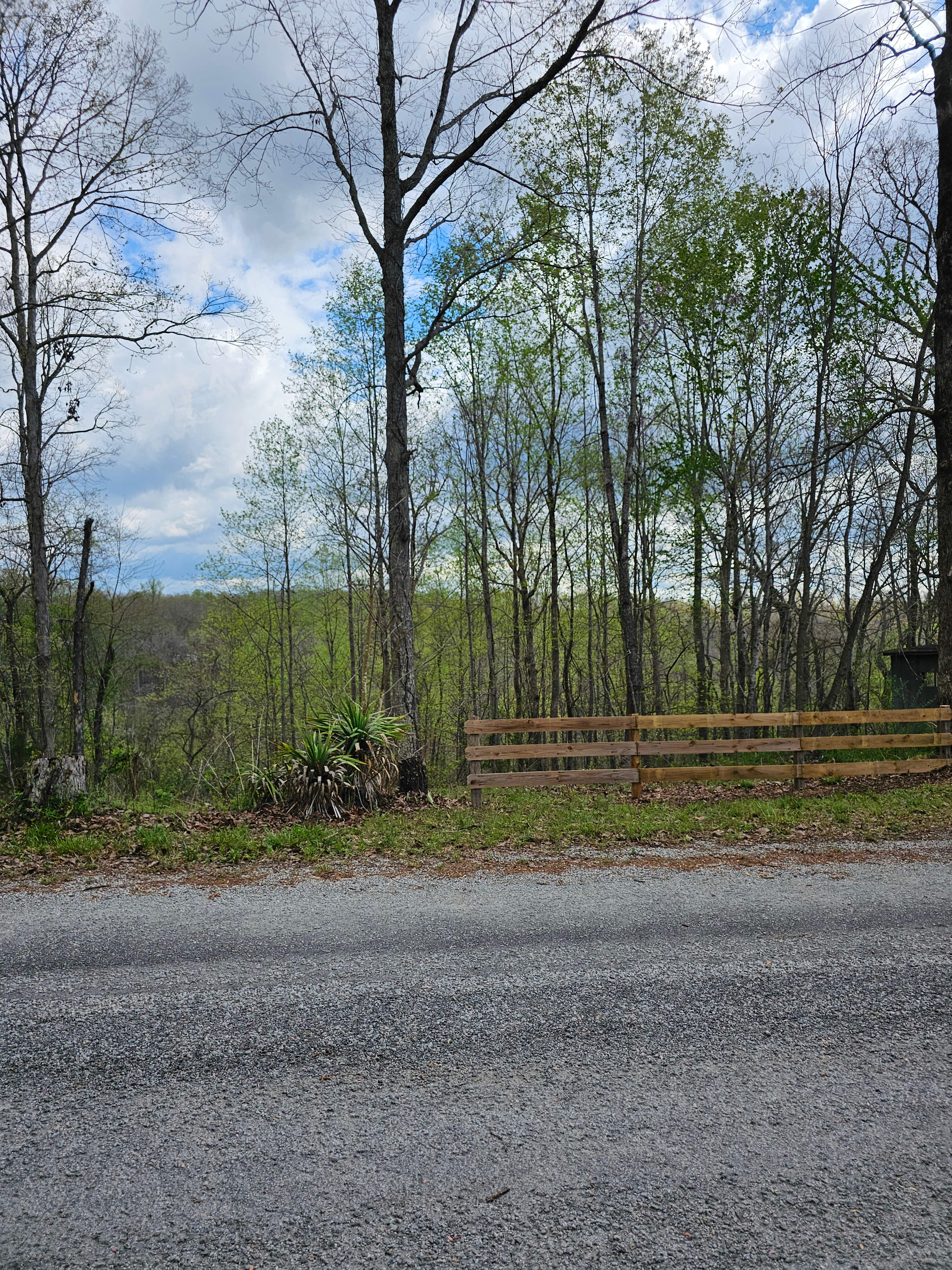 Dog creek camping