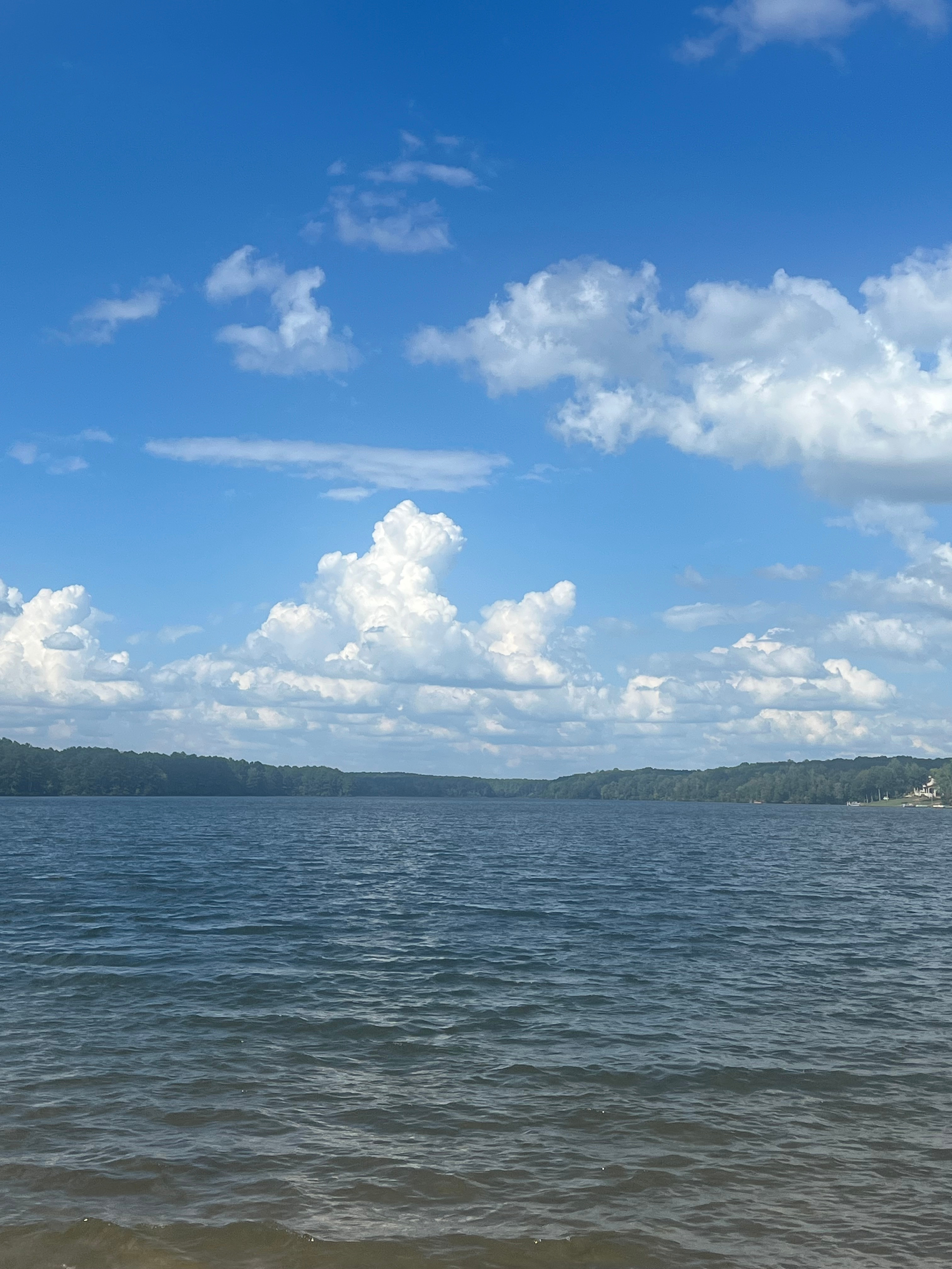 Dog creek camping
