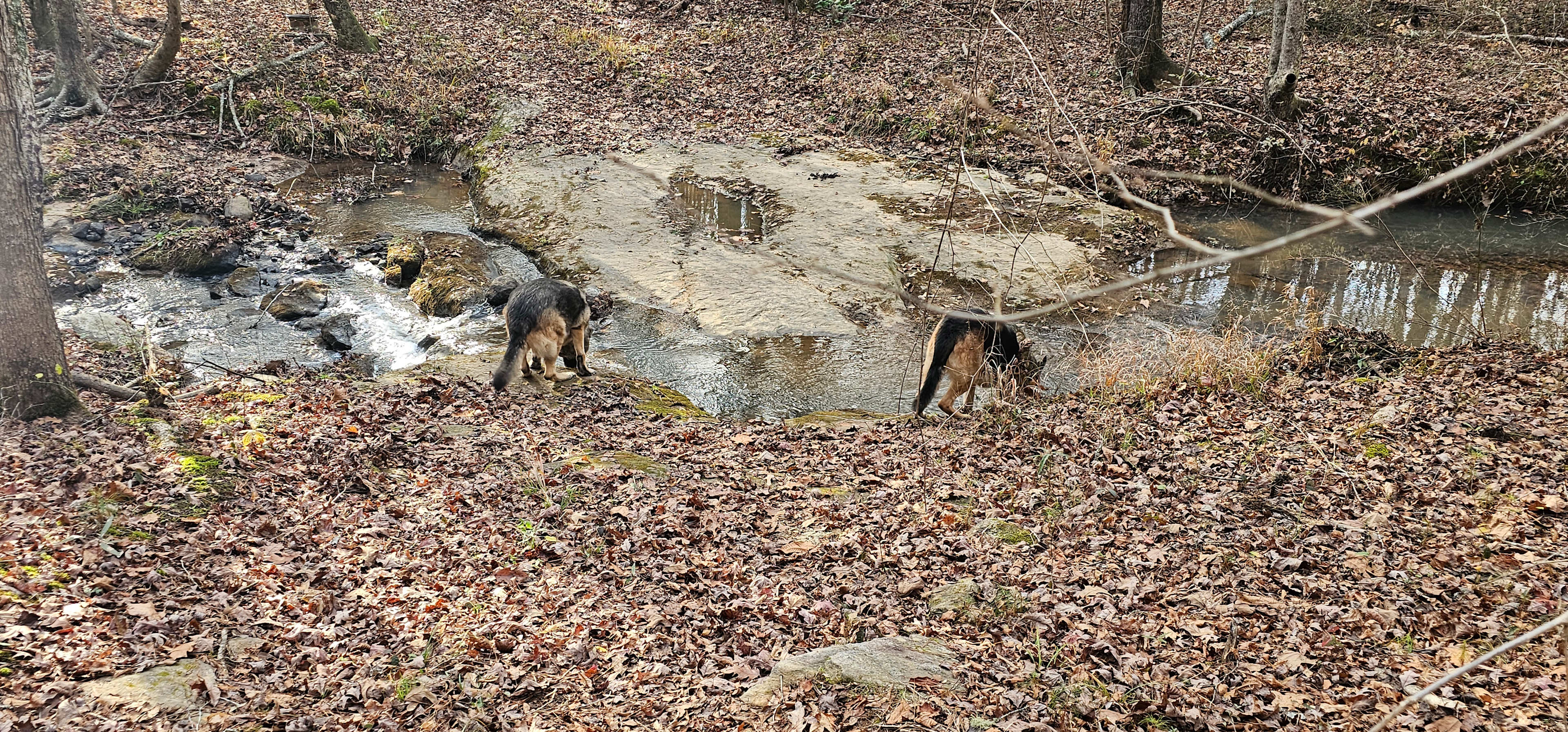 Nuakh Creekside Camping