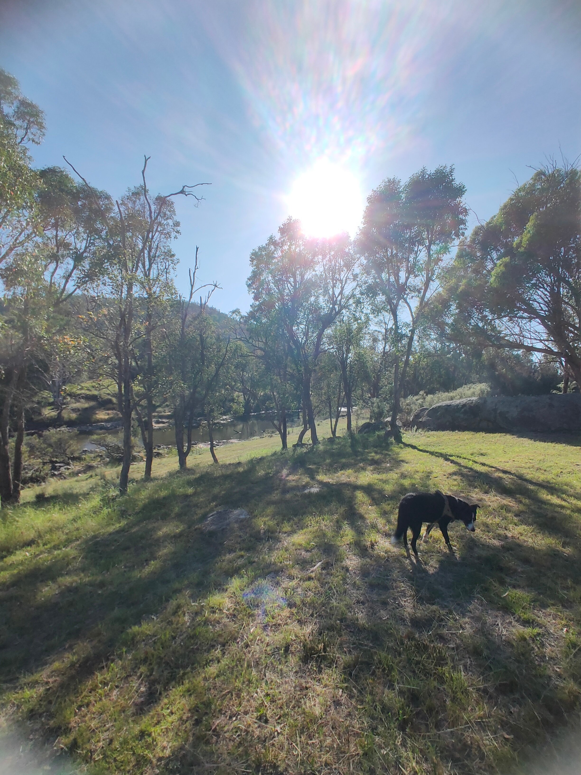 Kingfisher's Hut Nature Retreat
