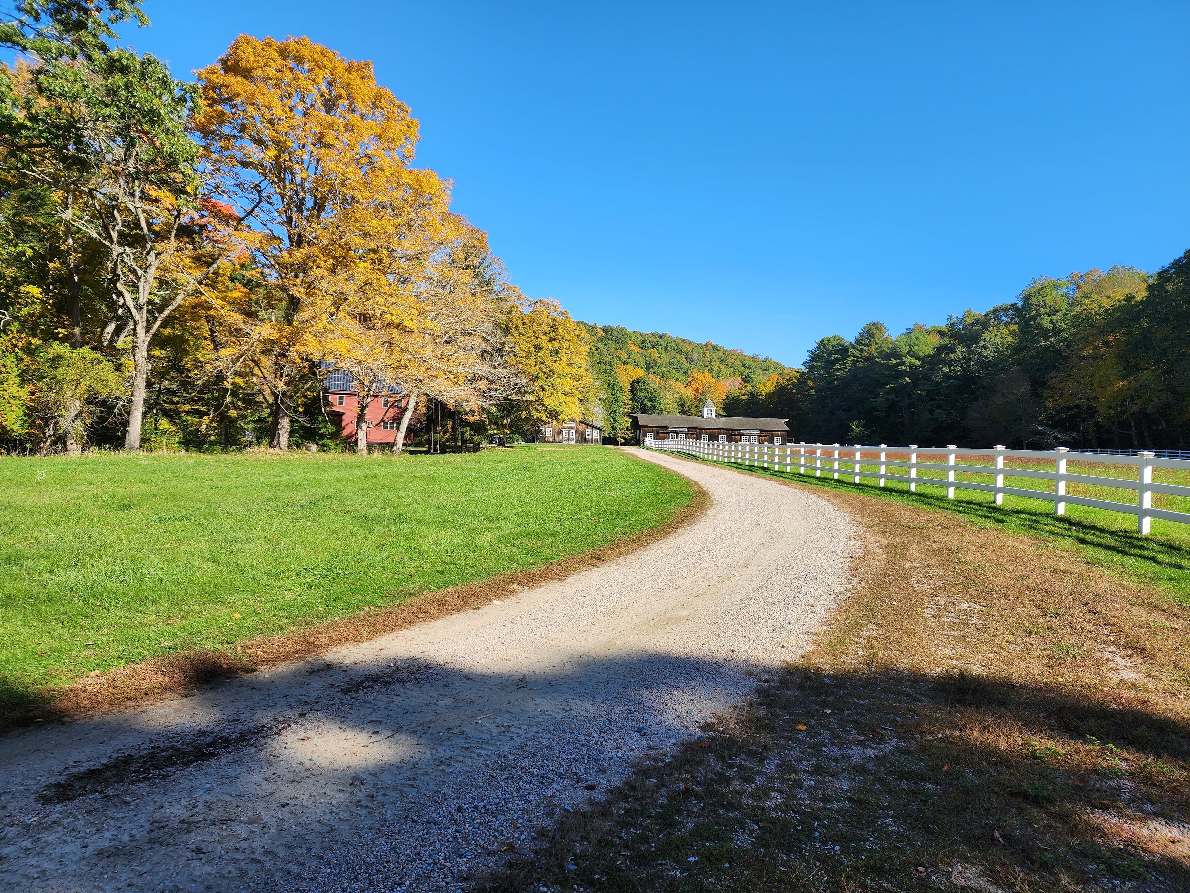 Zichichi Family Farm