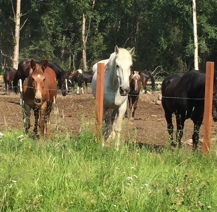 Jim Creek Blank Land