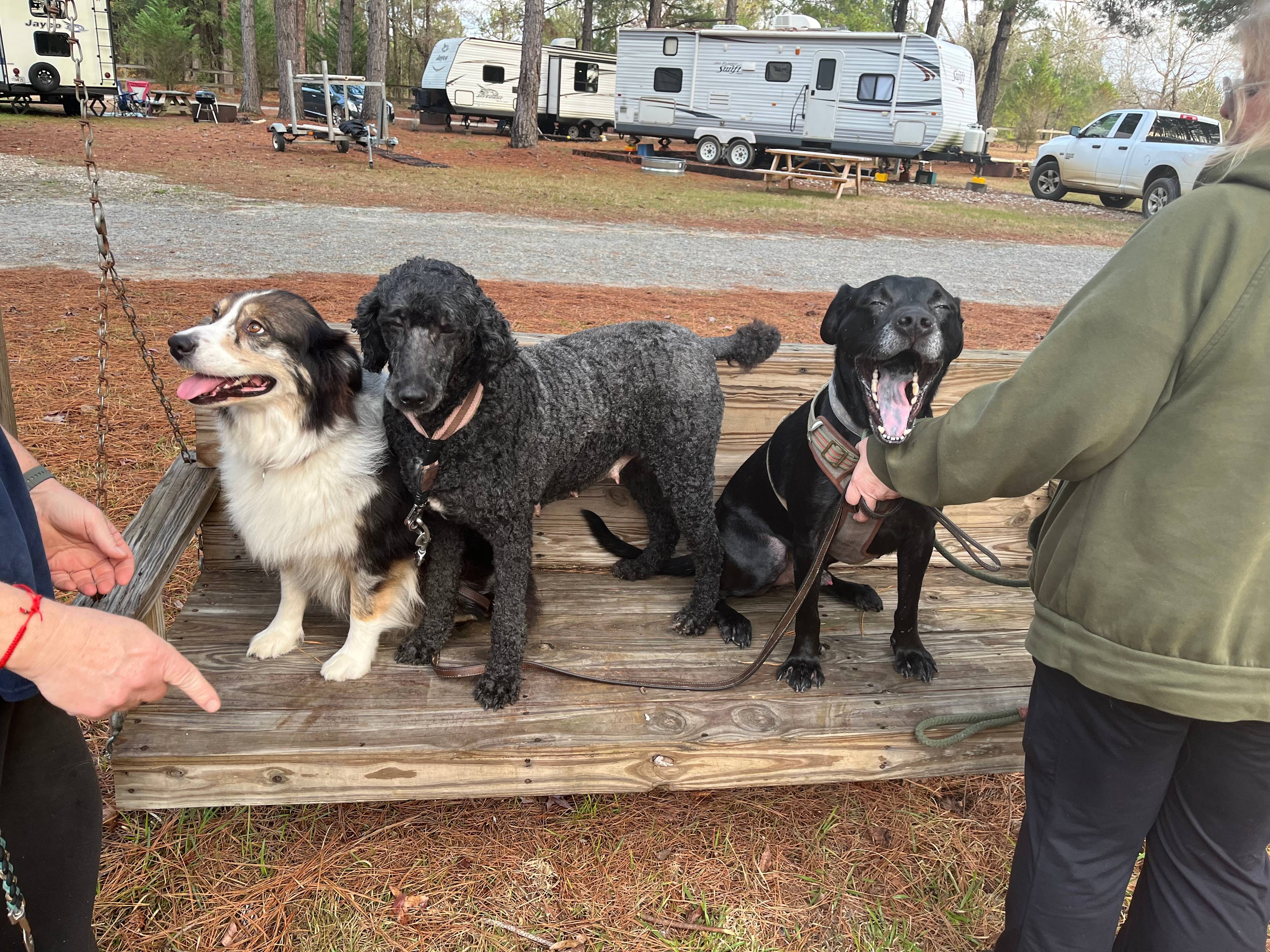 Leaning Pines Campground and Cabins