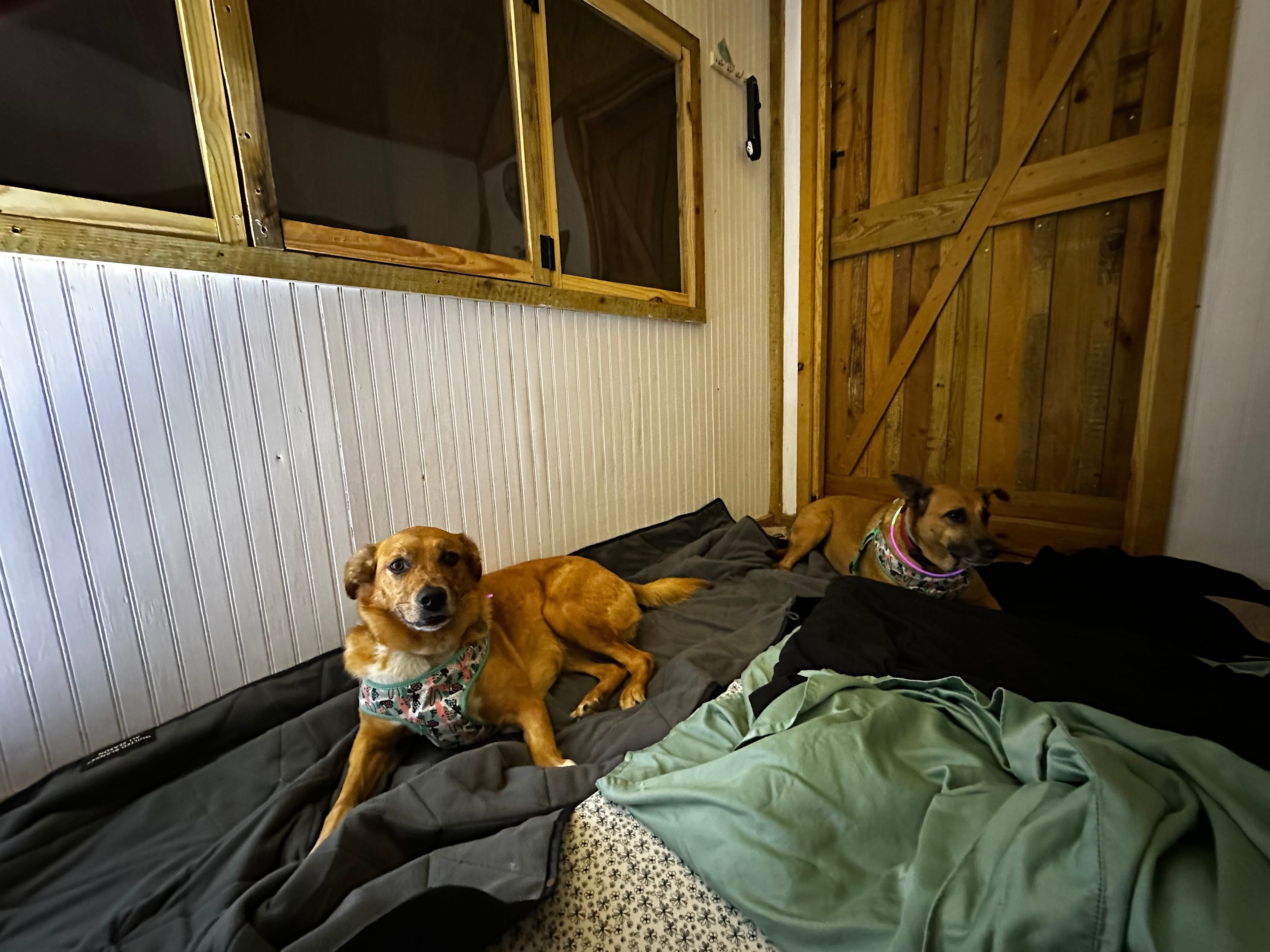 Cabin At Little River Springs