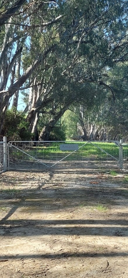 Amaroo On McLays