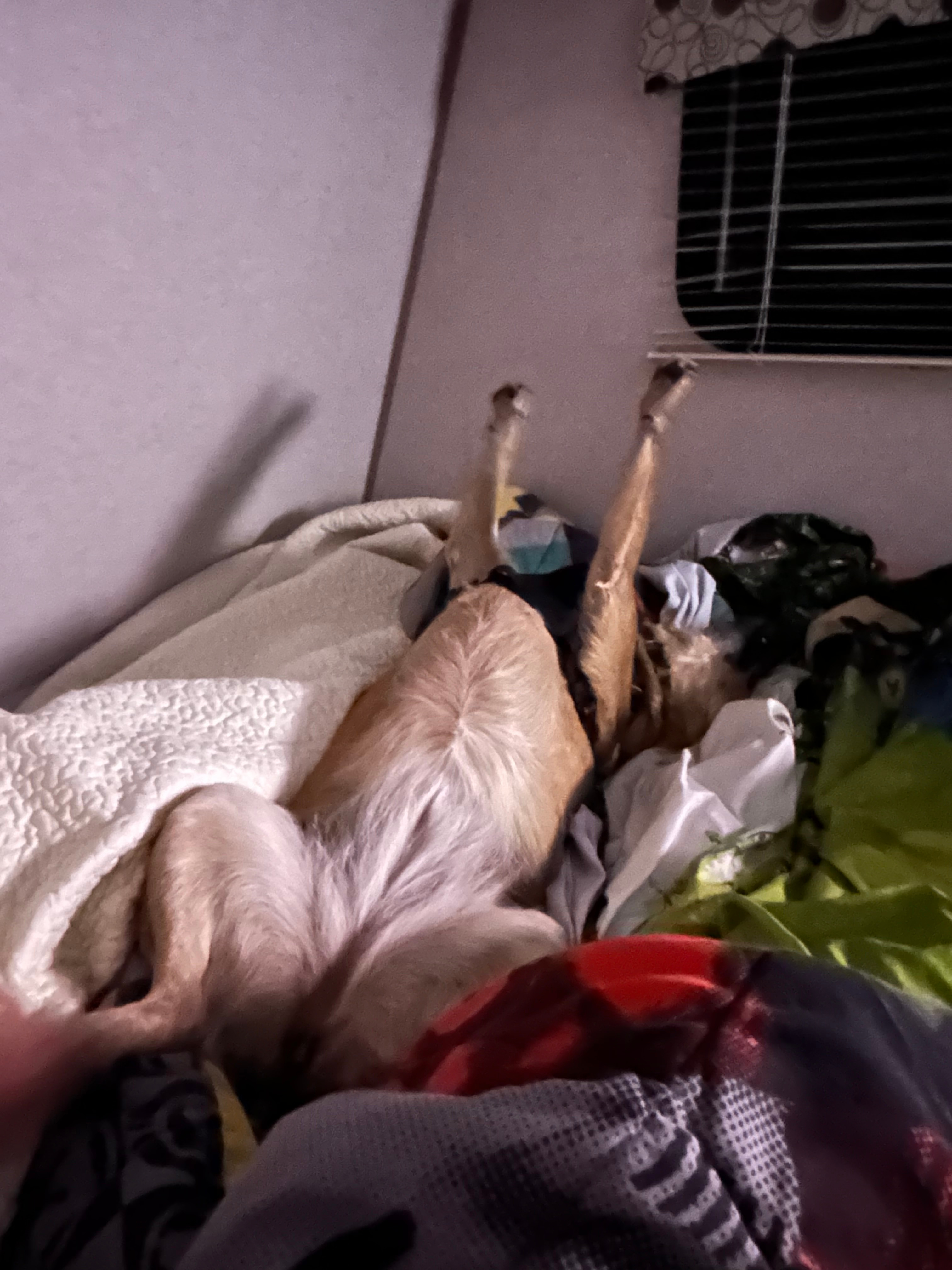 Peaceful for good resting. 