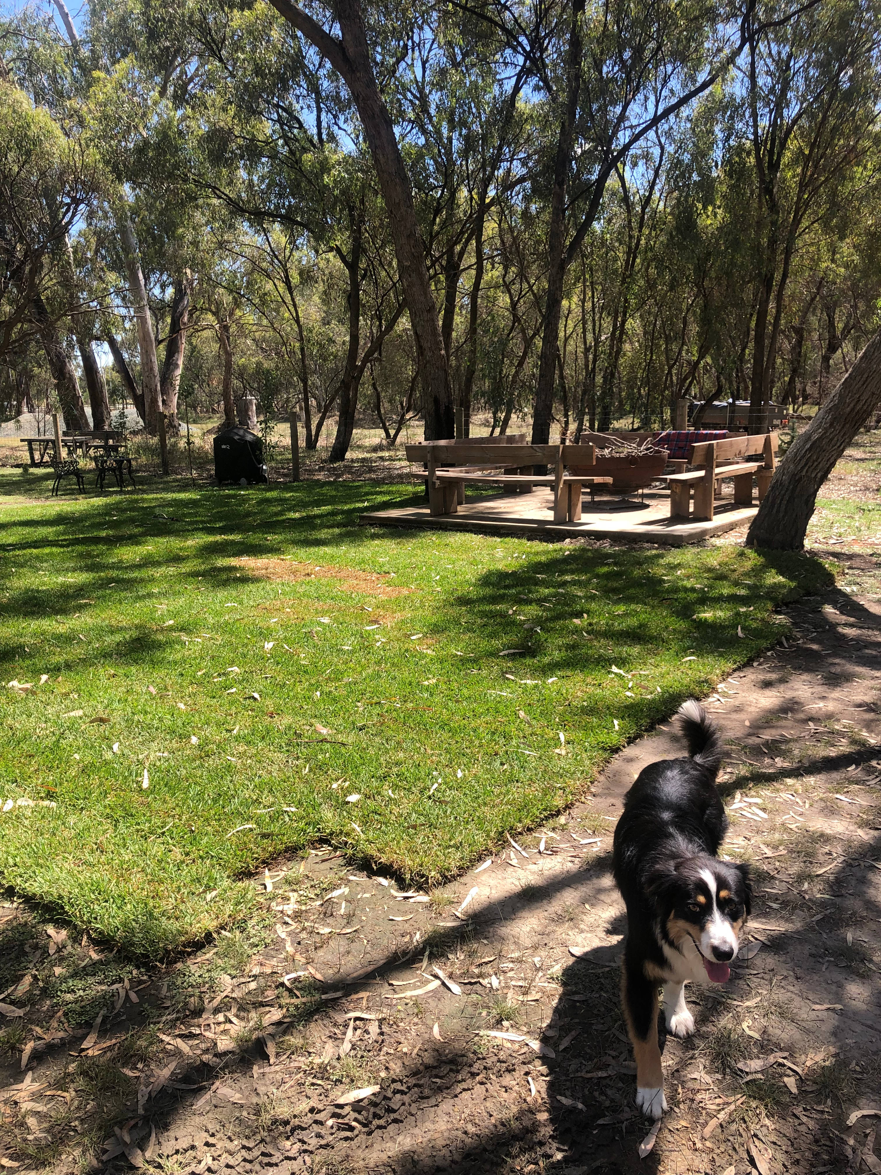Radcliffe in Echuca