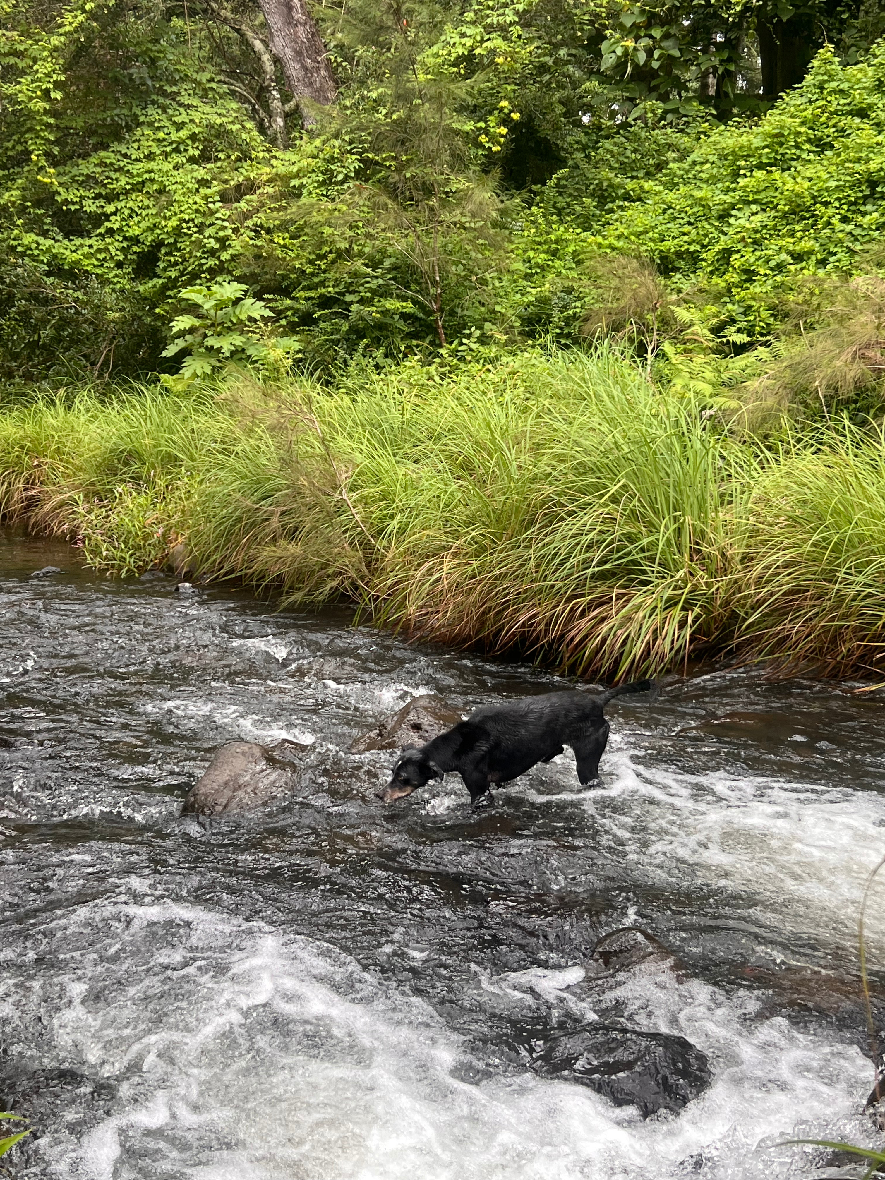 Warrazambil Creek Camp