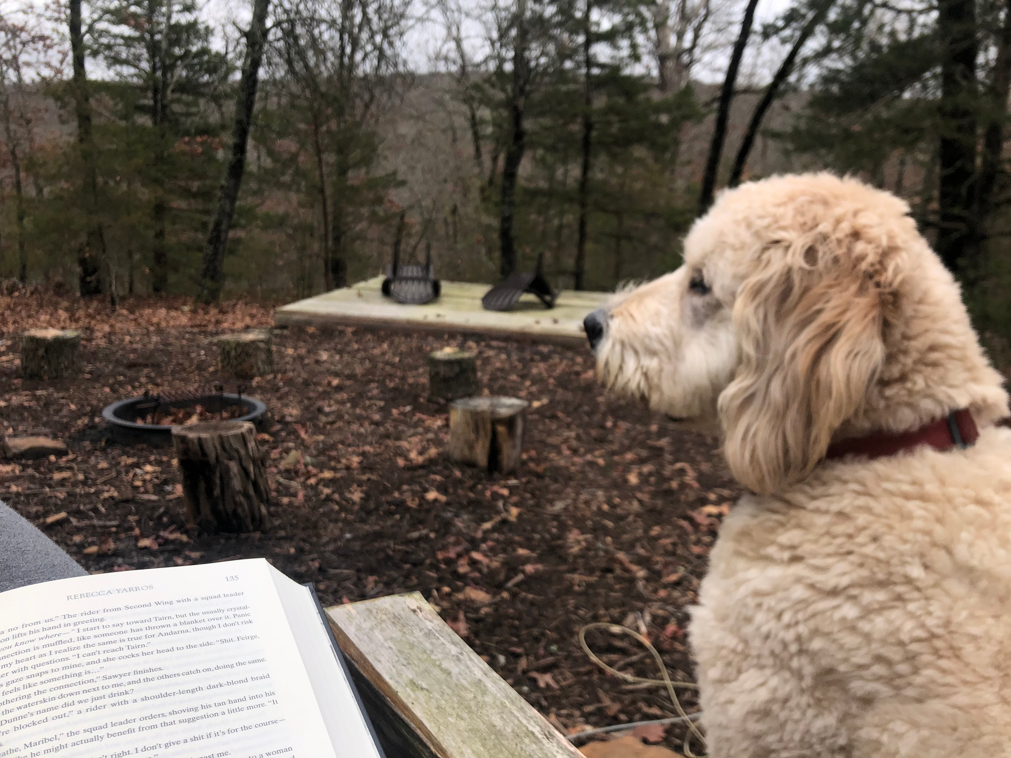 Lake Wilson Retreat 🌲