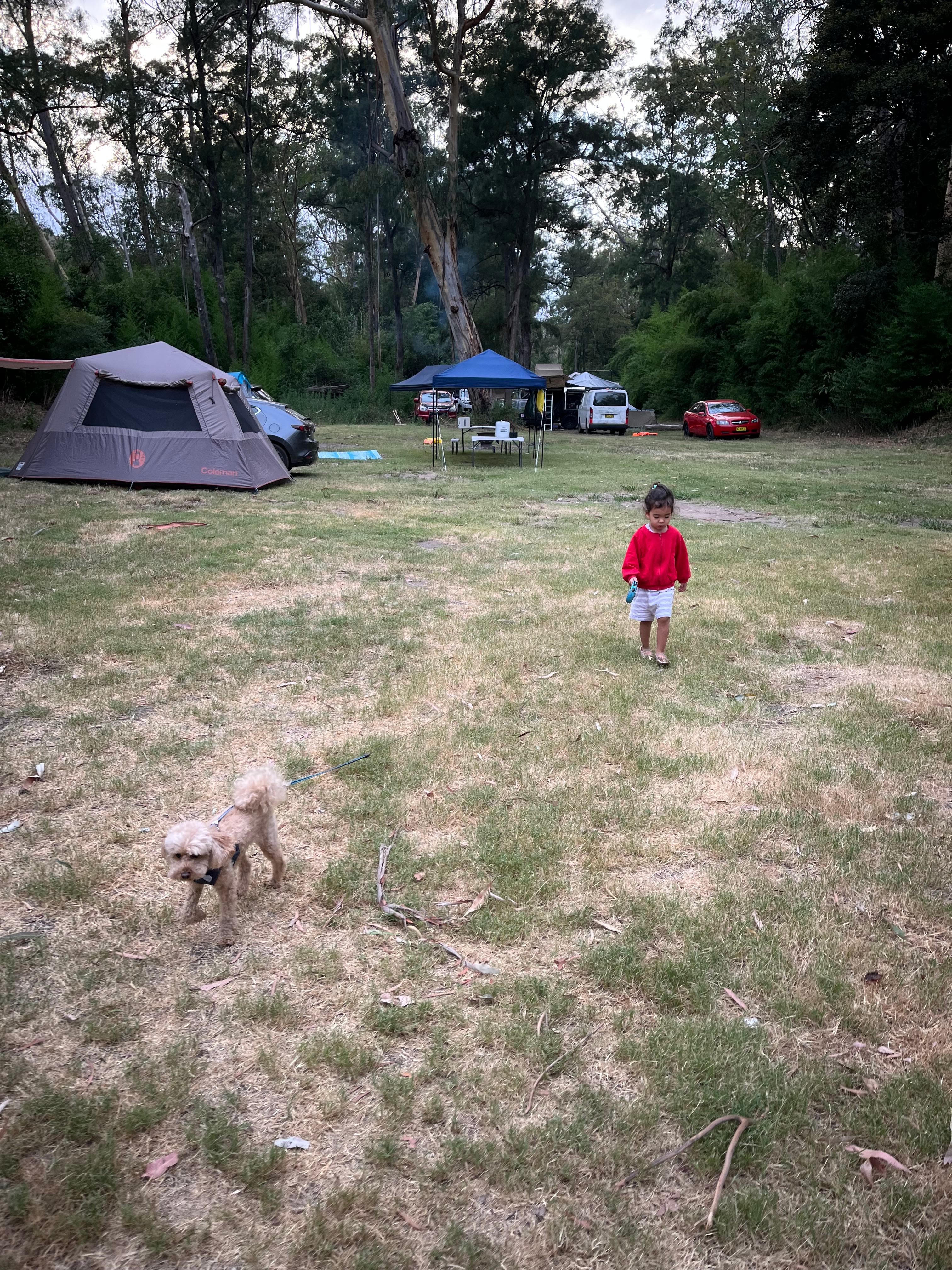 Bielany Campground @ Colo River