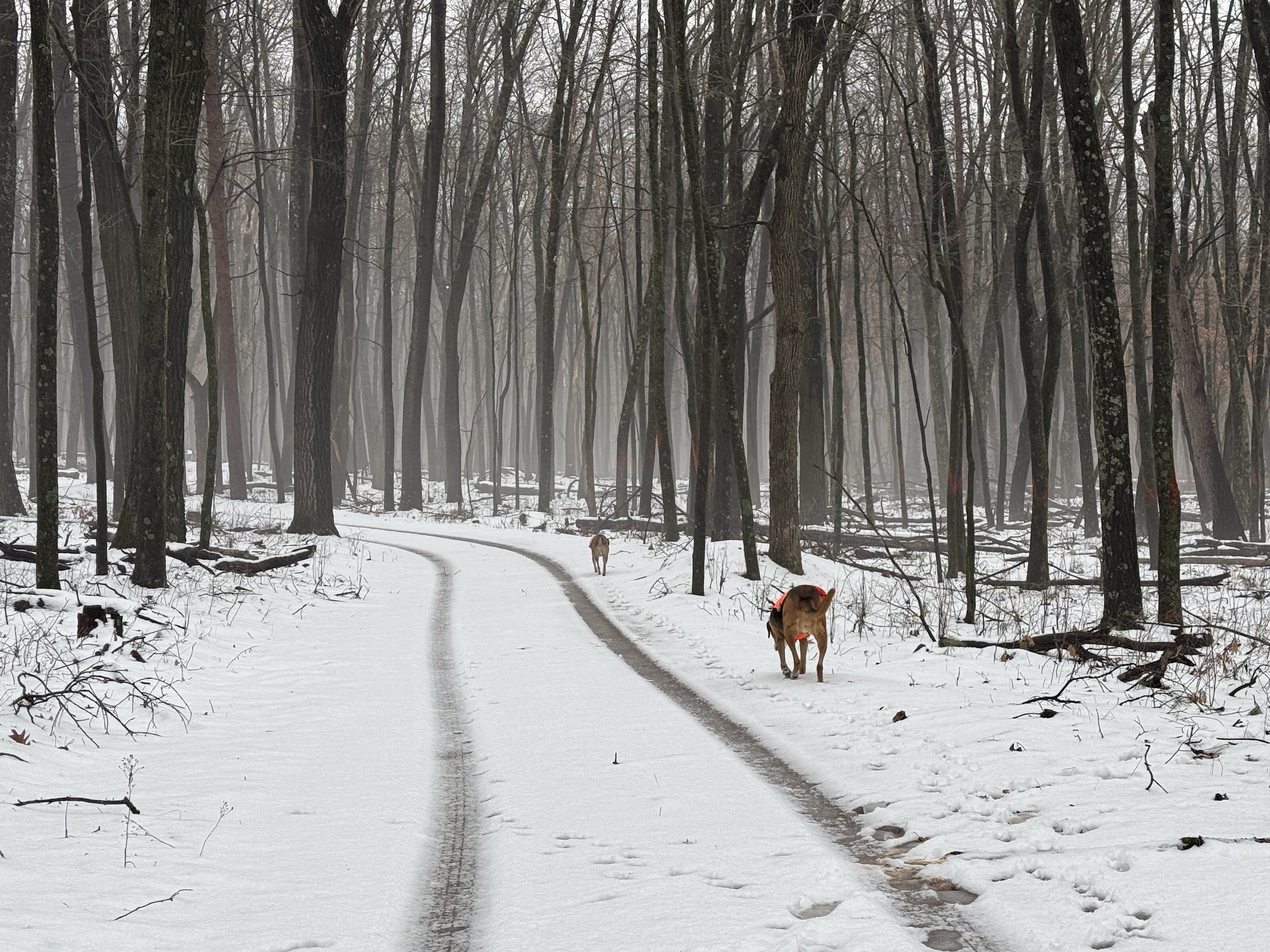 Camp-Inn Teardrop factory camping
