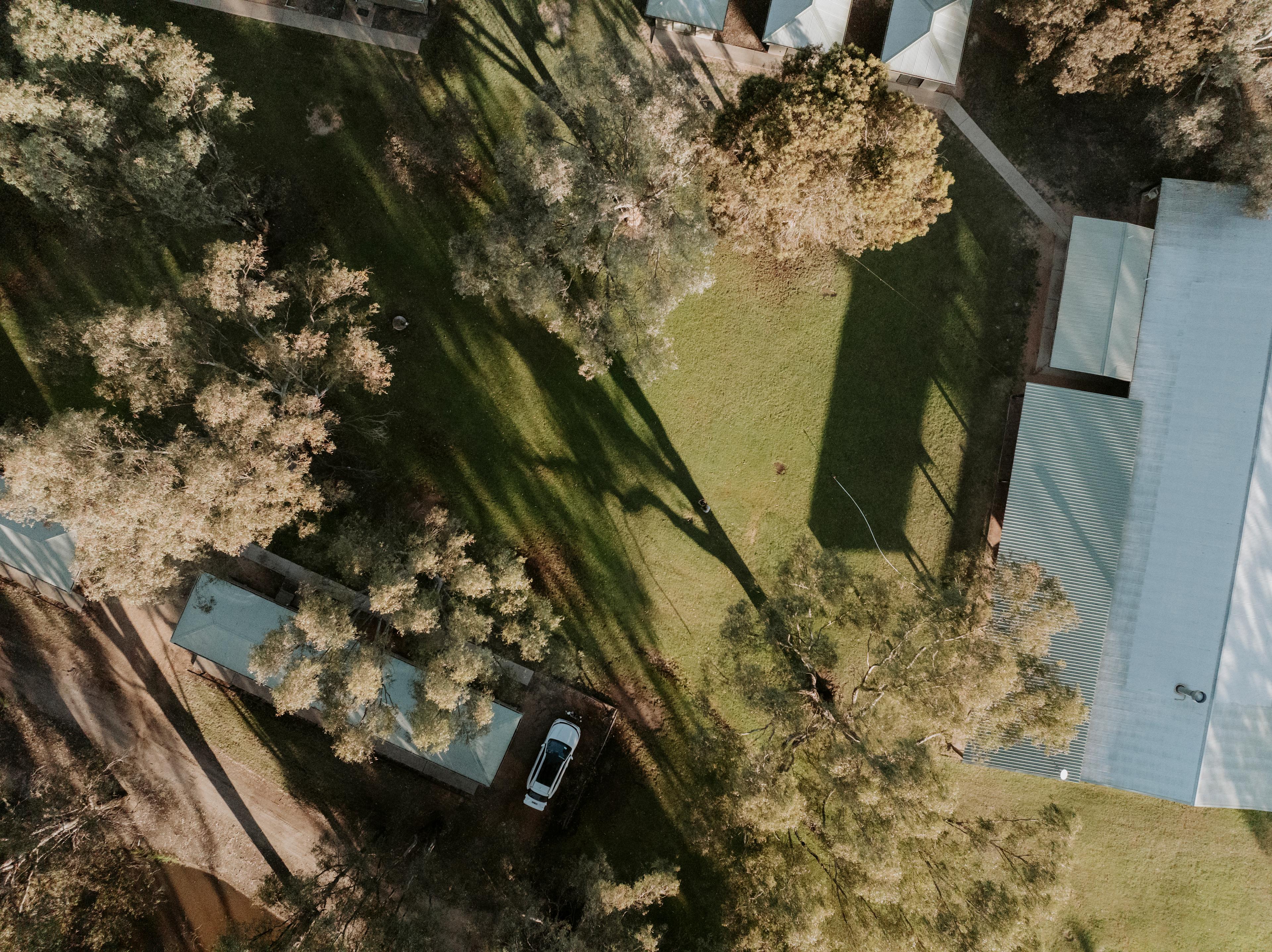 The Paddock at Ulupna