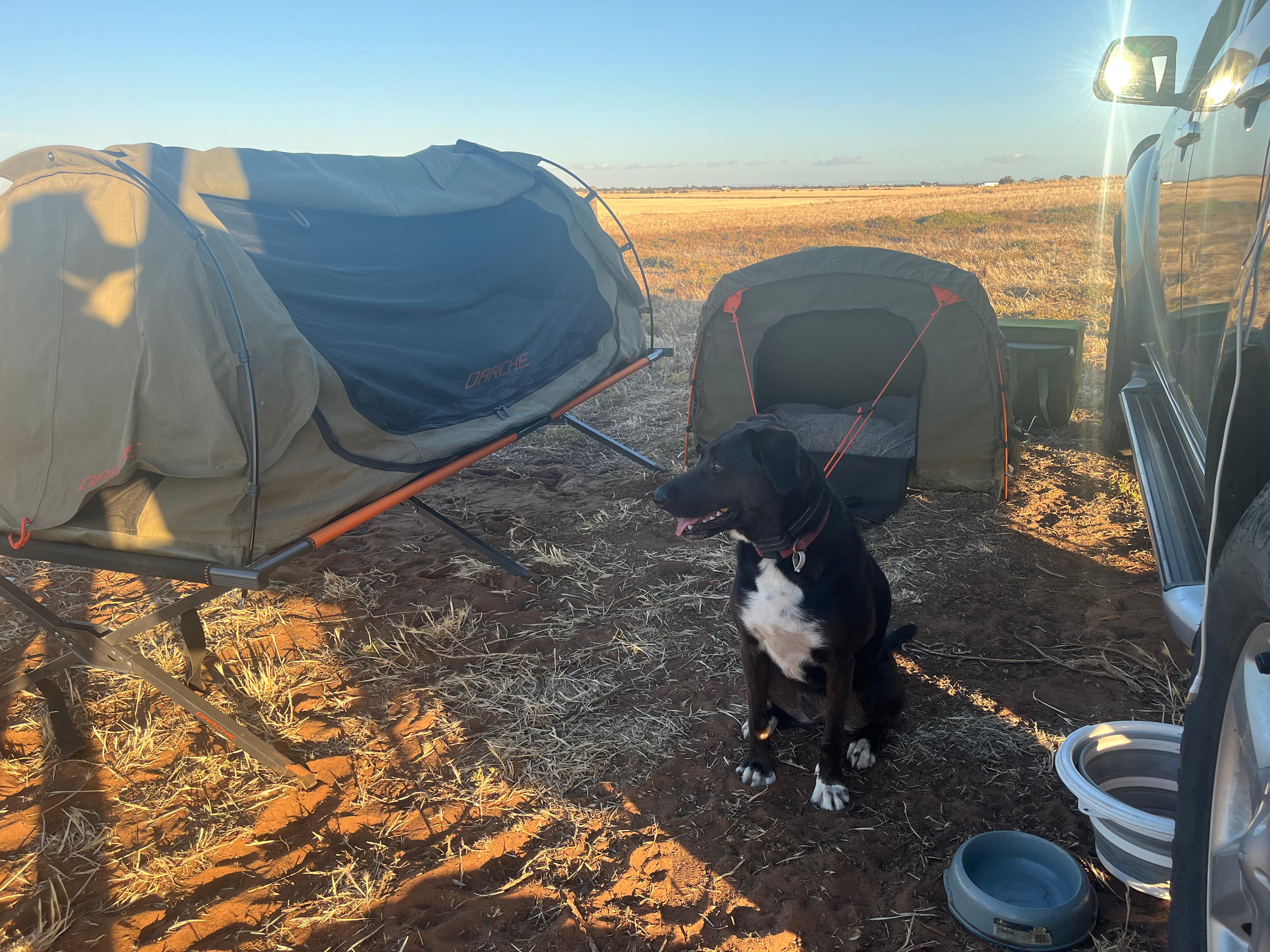 Camp with Horses close to the Beach