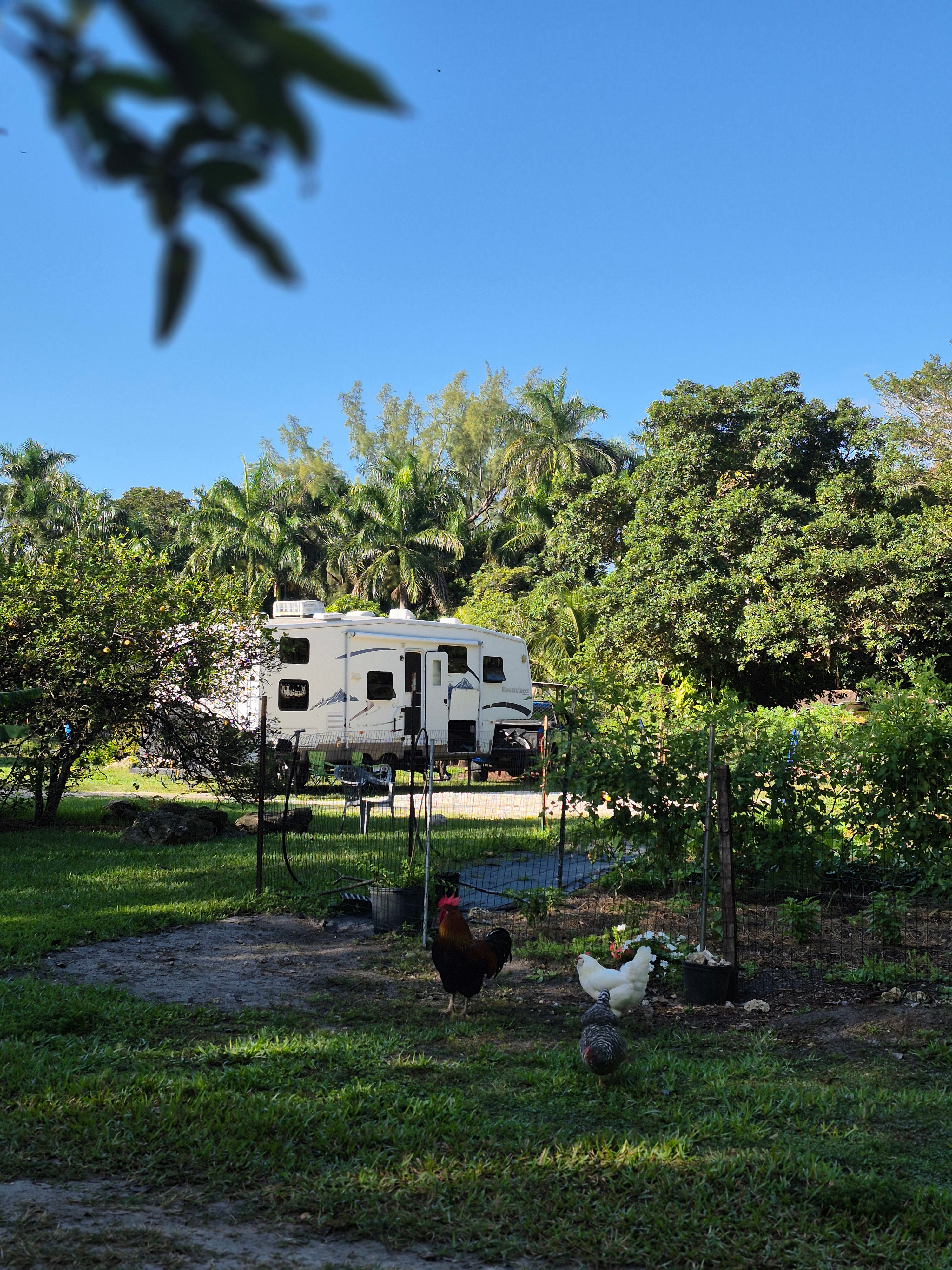 Honeys Place: Urban Camping Oasis