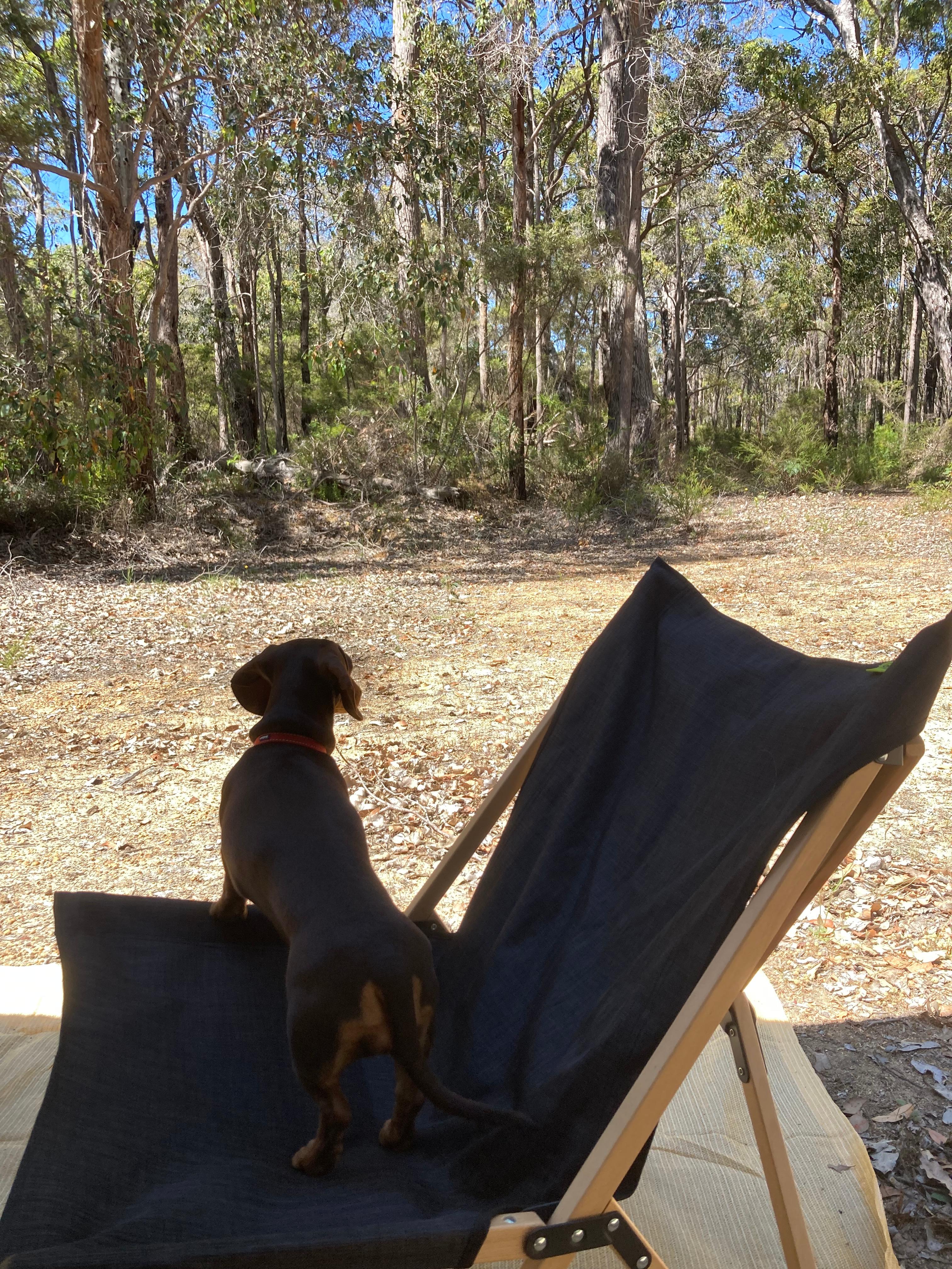 Northcliffe Nature Park