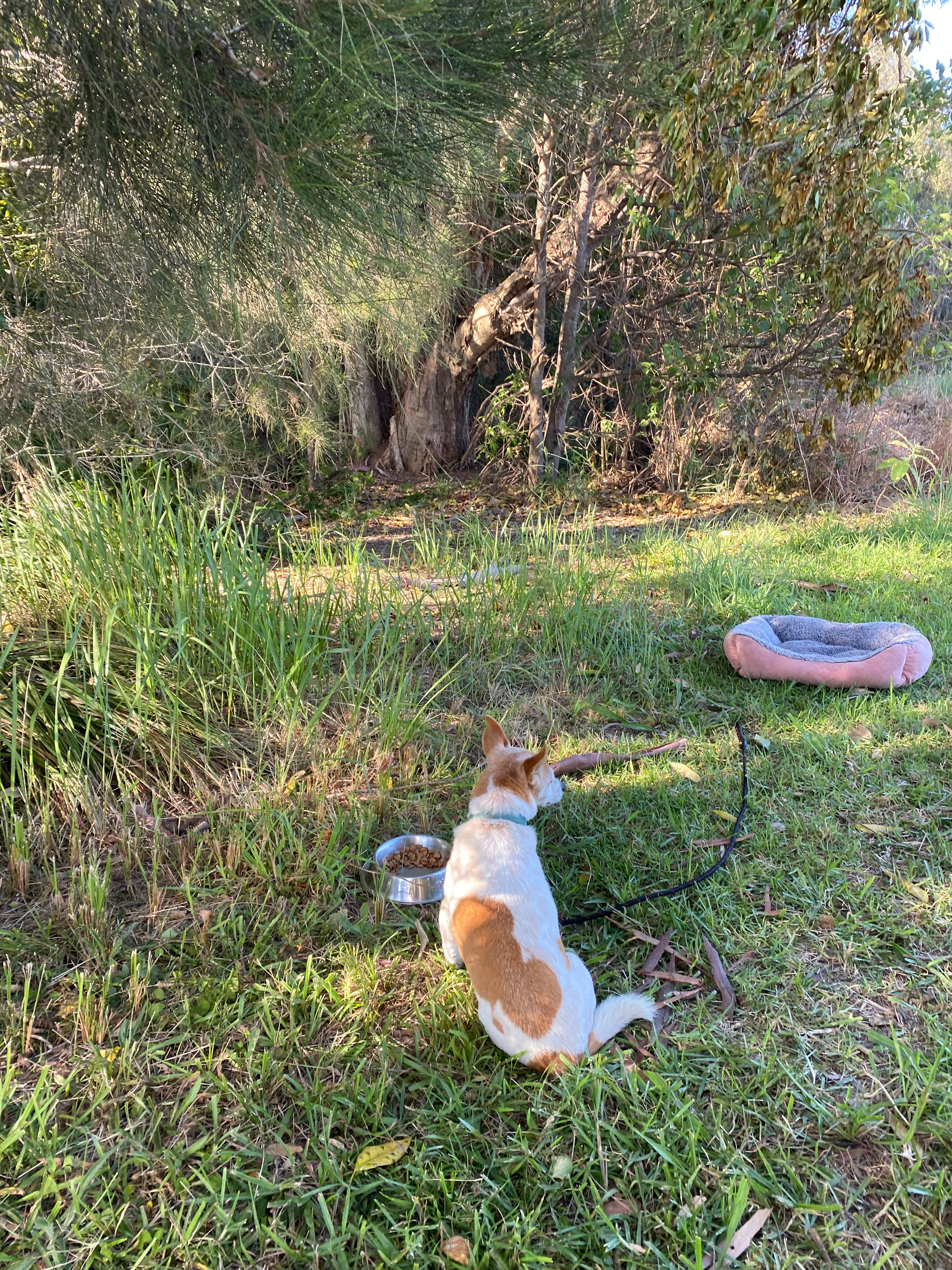 Stoney Park care of Dennis Stone