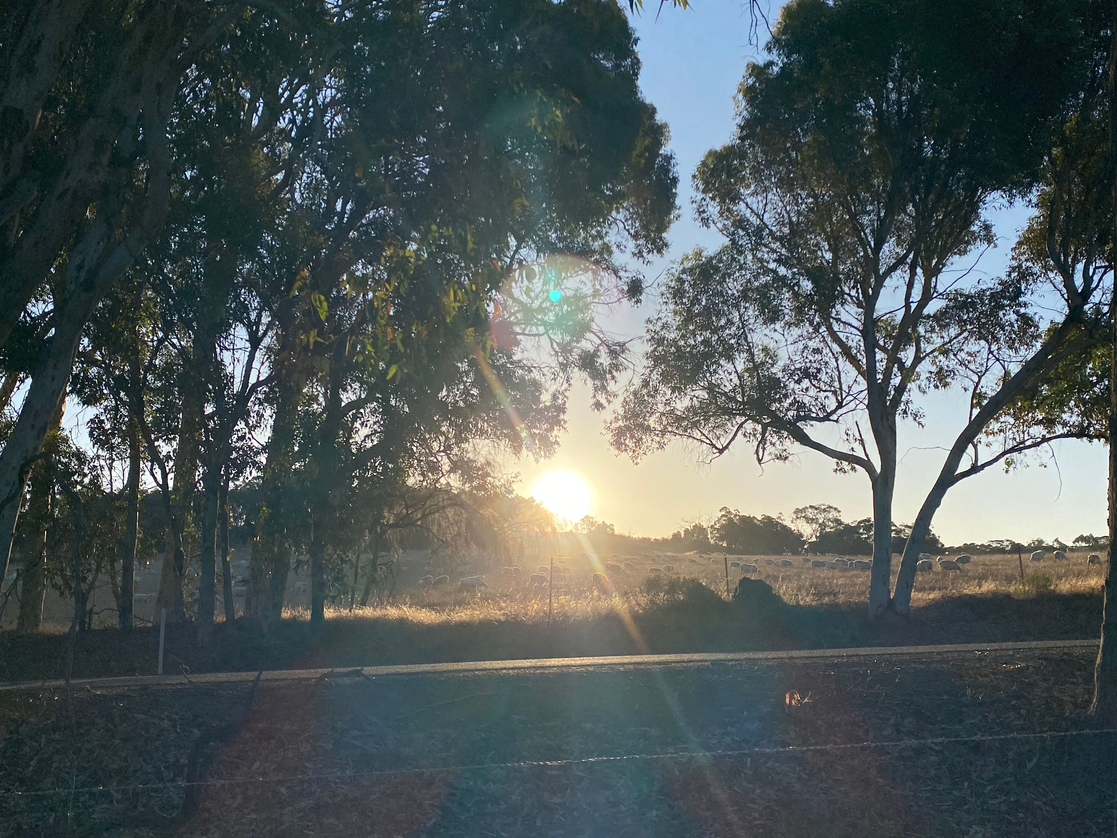 Gumtree Gully Cottage