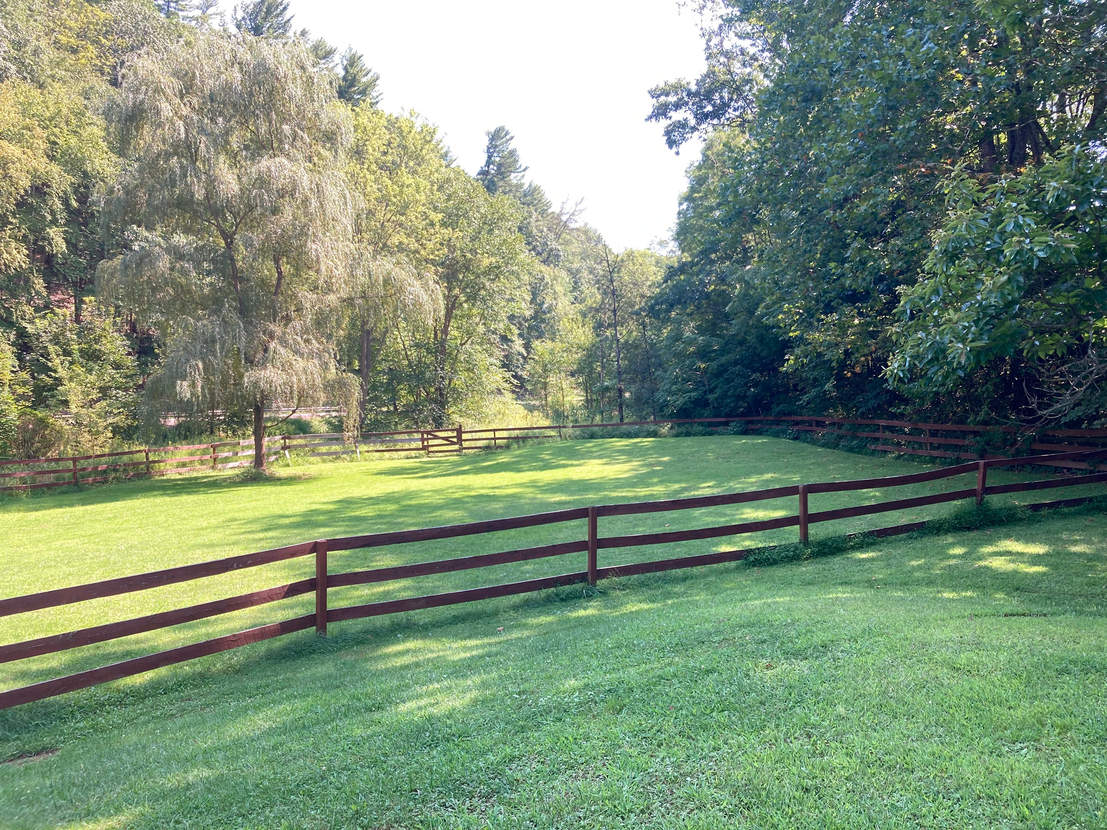 Lycoming Creek Escapes