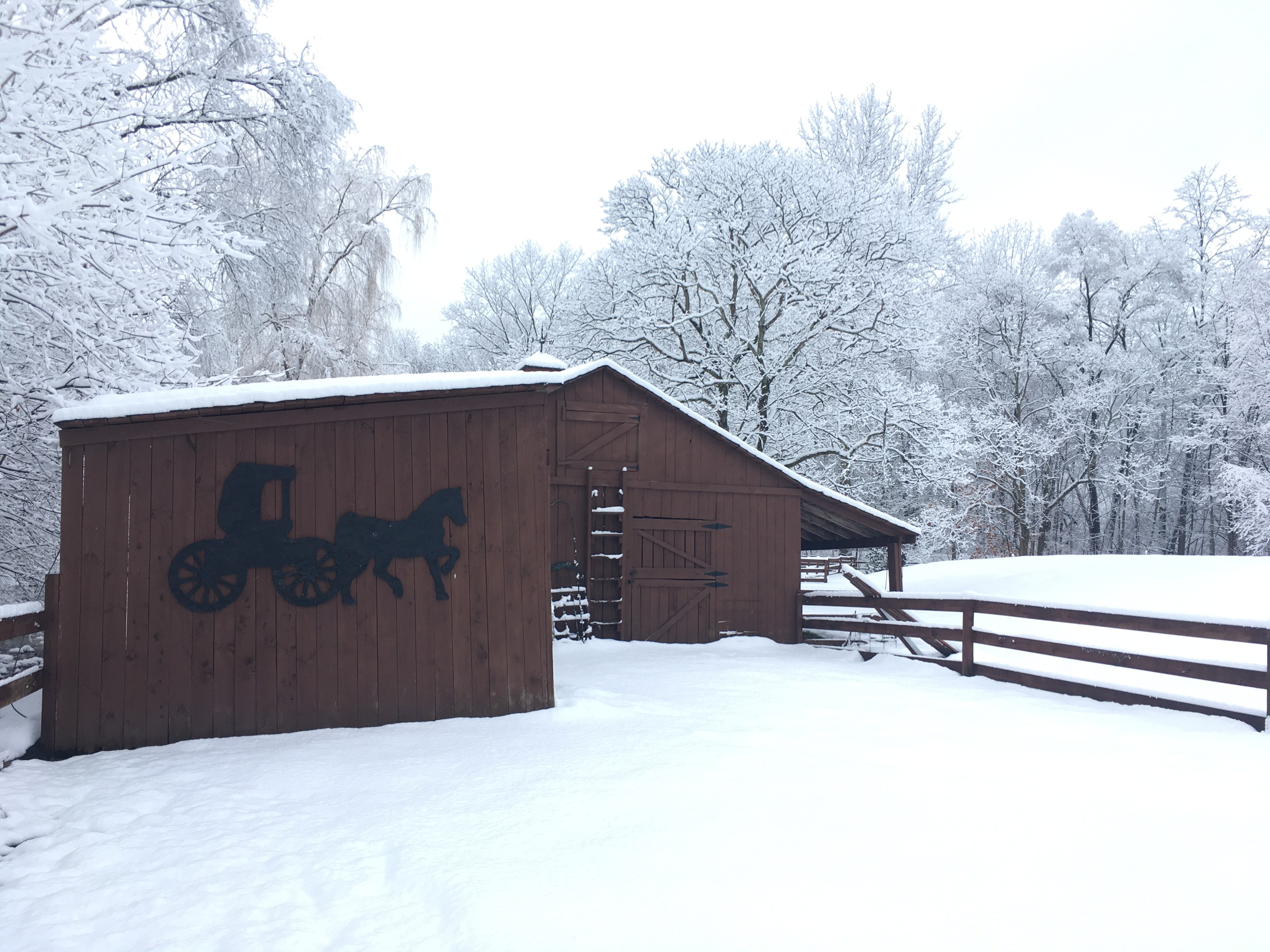 Lycoming Creek Escapes