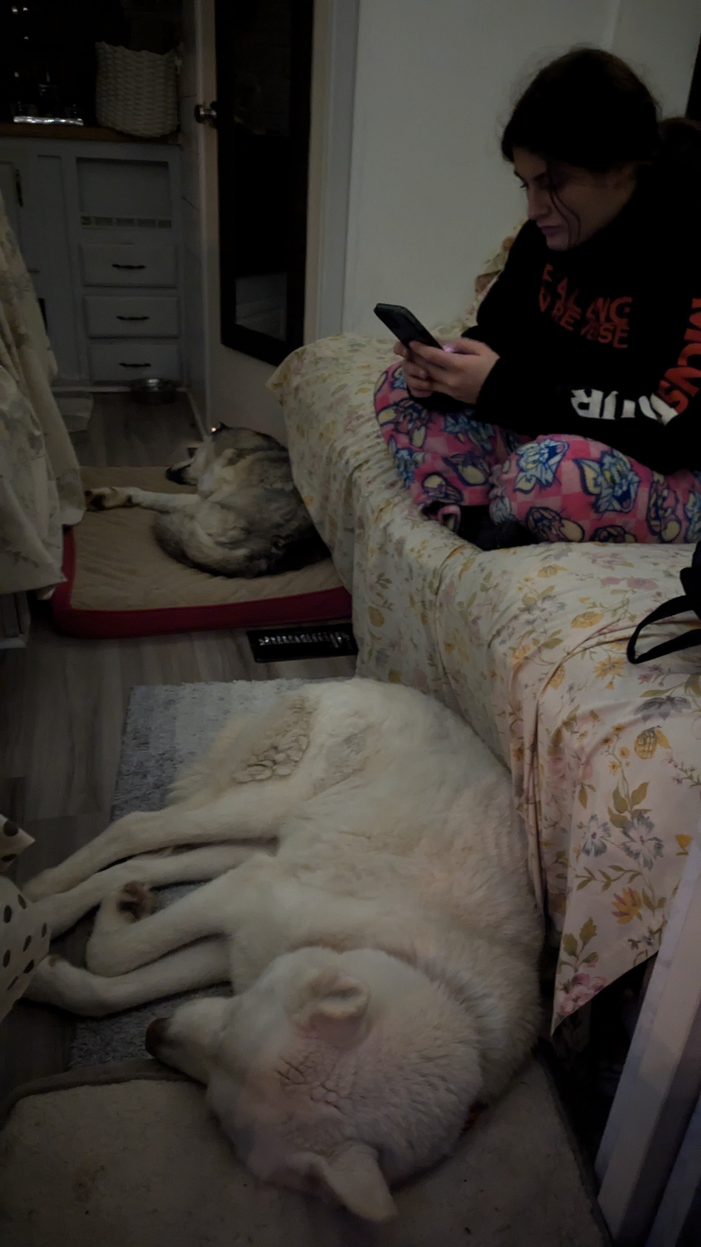 Vintage  Camper 3 mi to Asheville