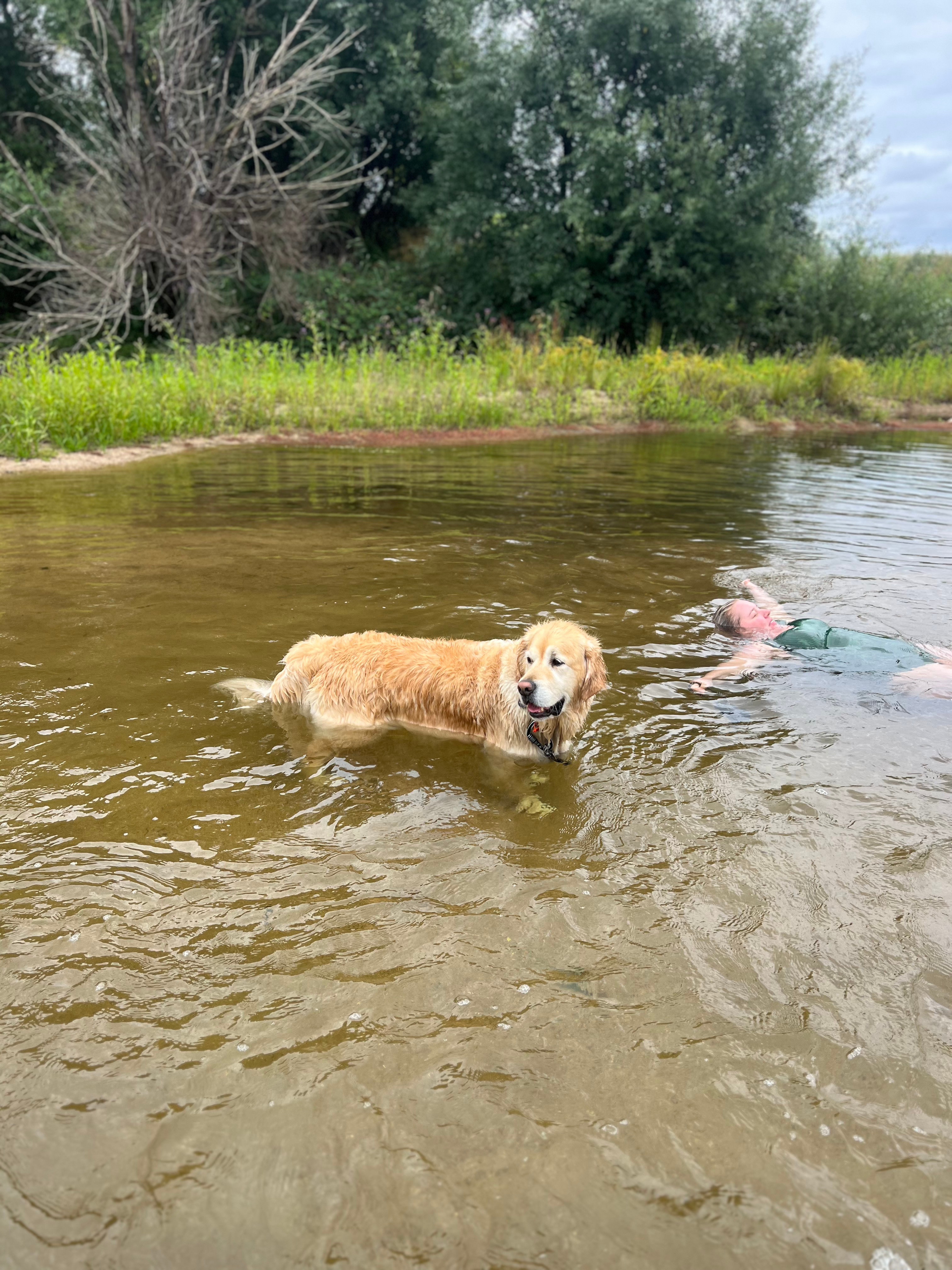 Scout's Run Private Creekside Camp