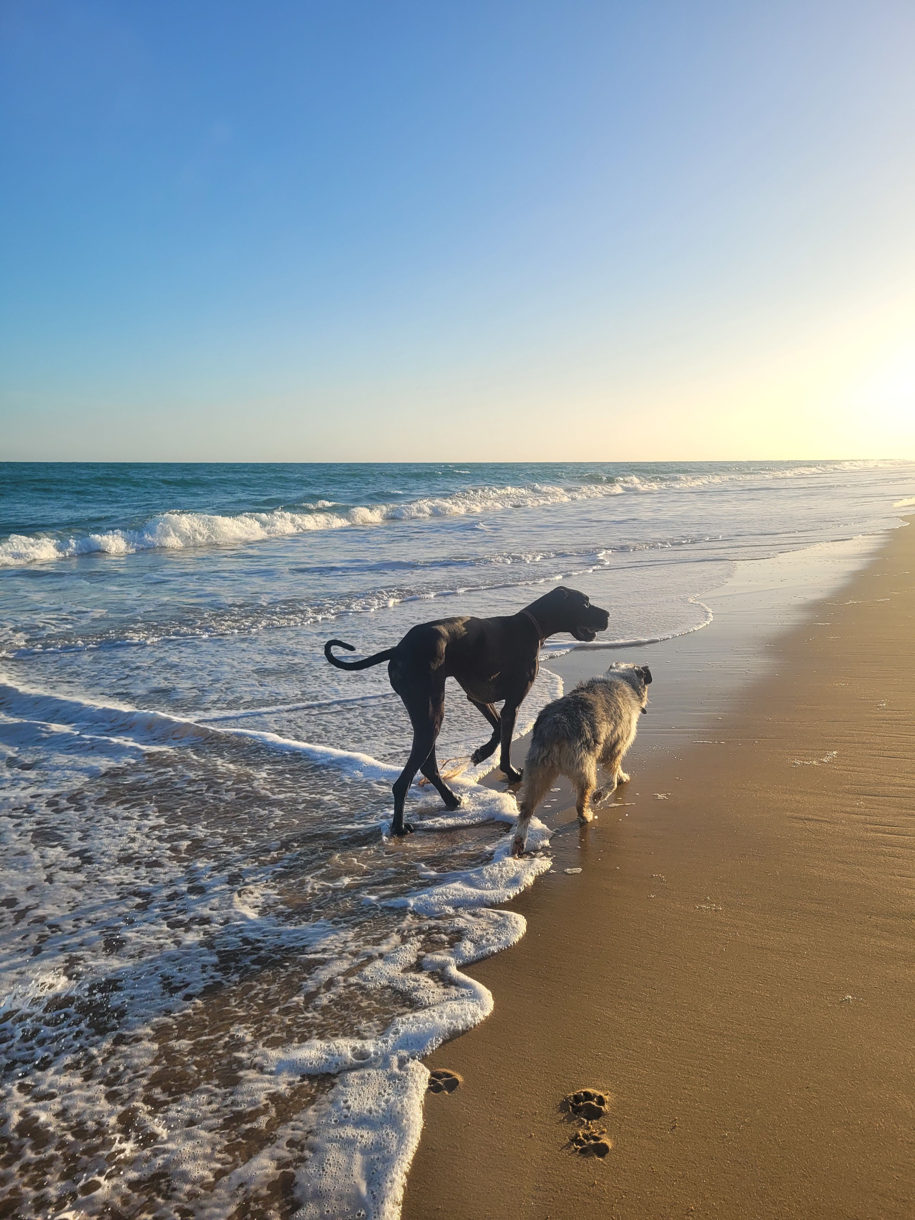 Tranquillity Central