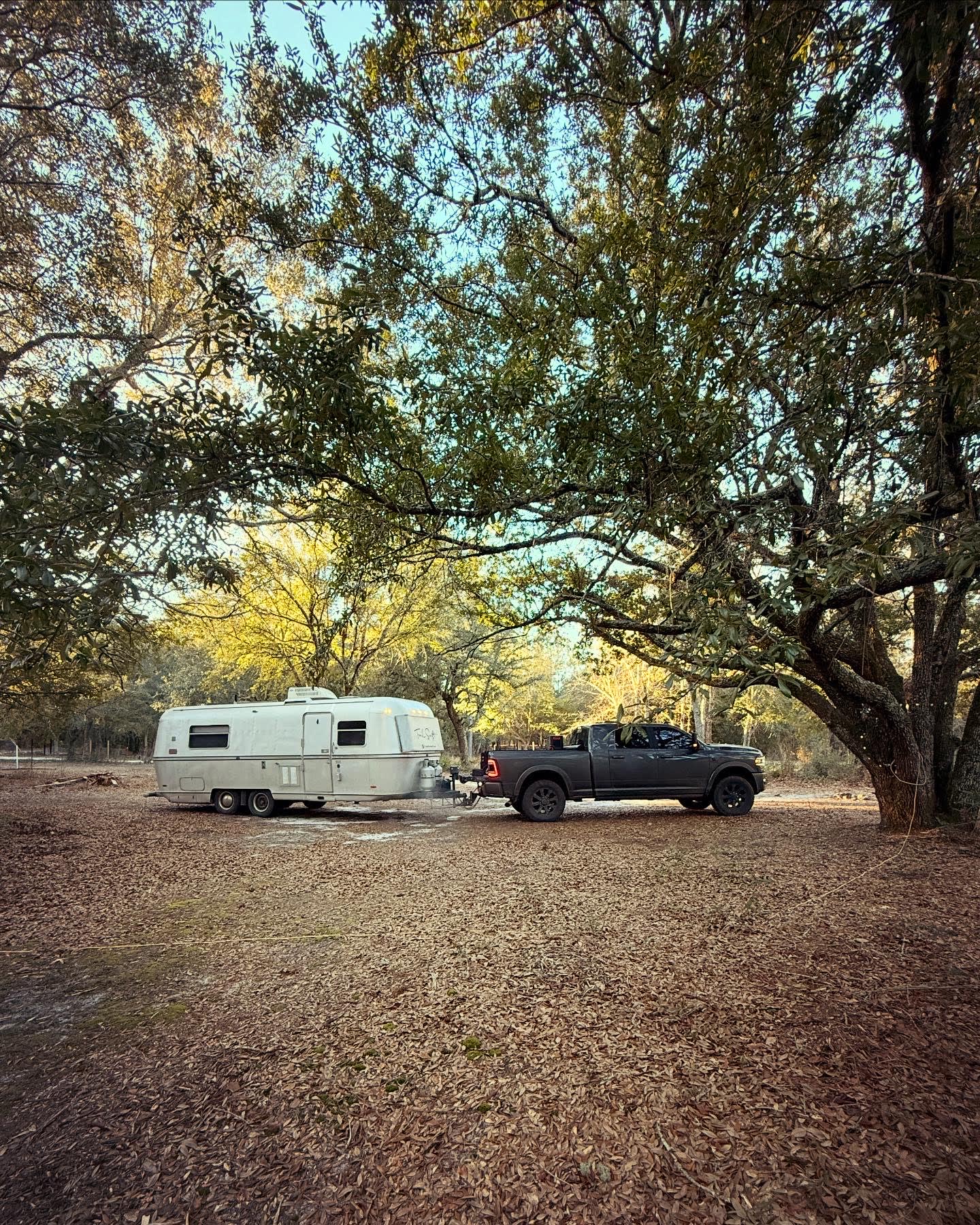 Too Many Oaks Plantation