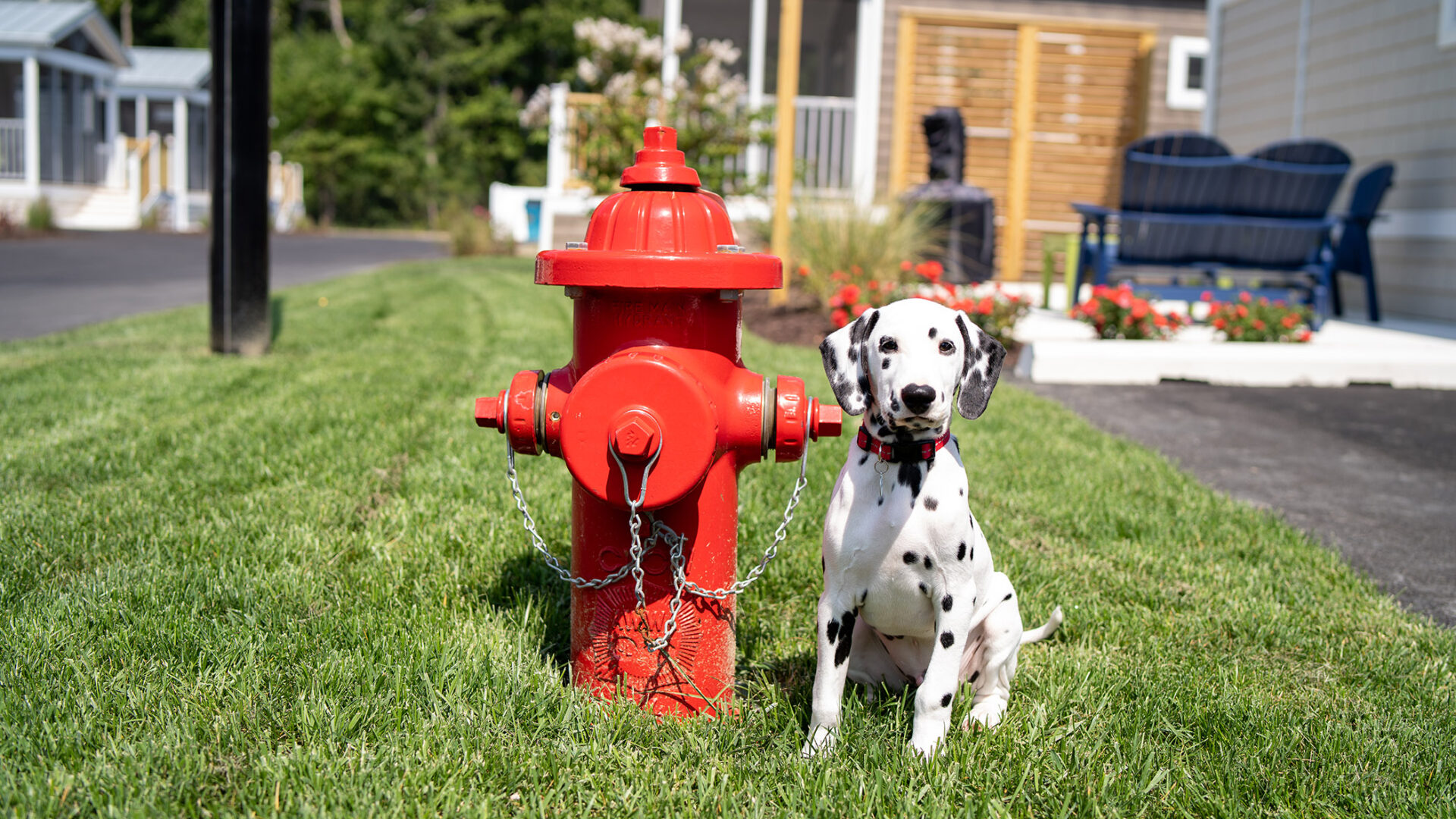 Shore Point Cottages
