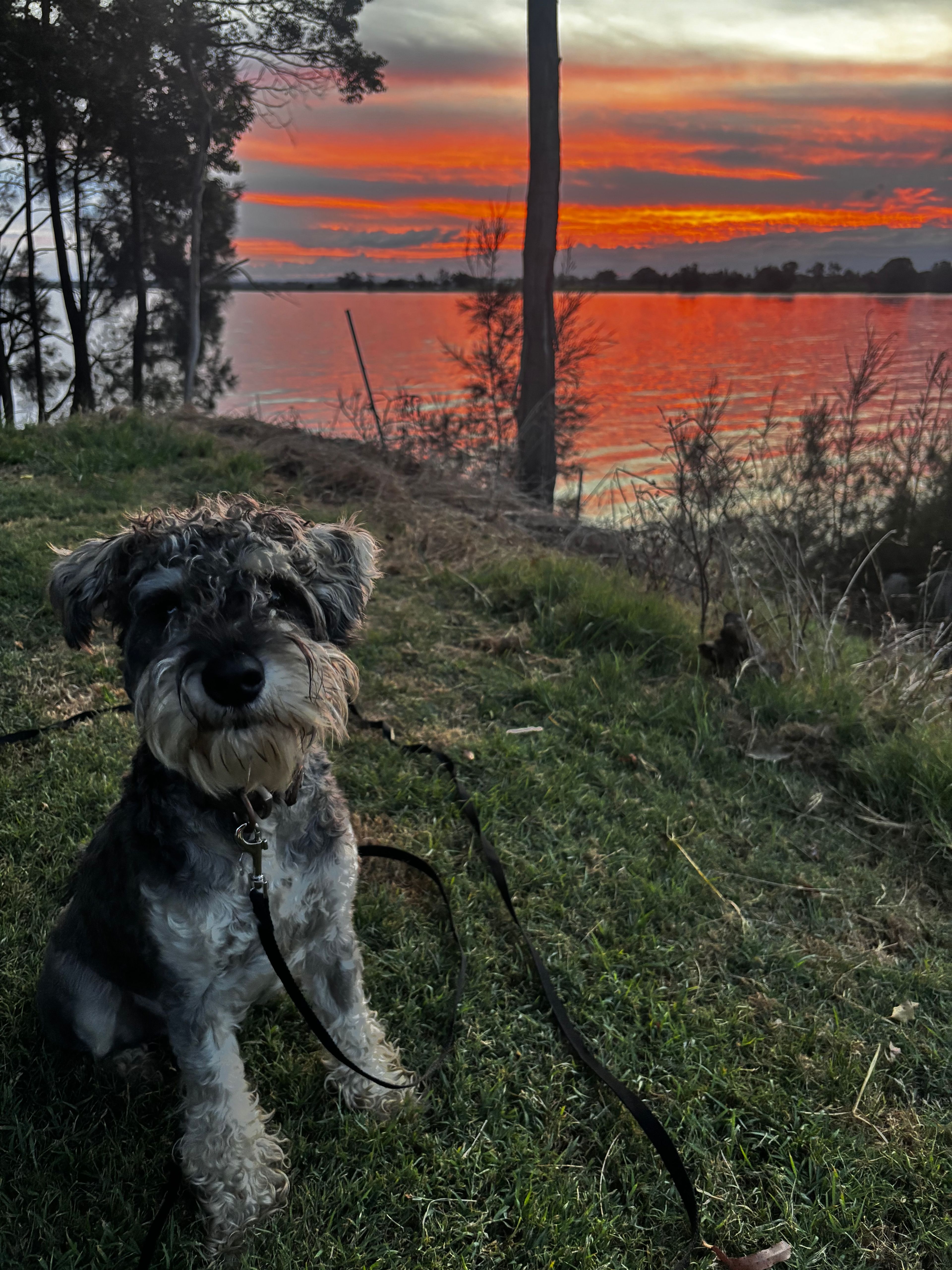 Riverside Camping on the Clarence