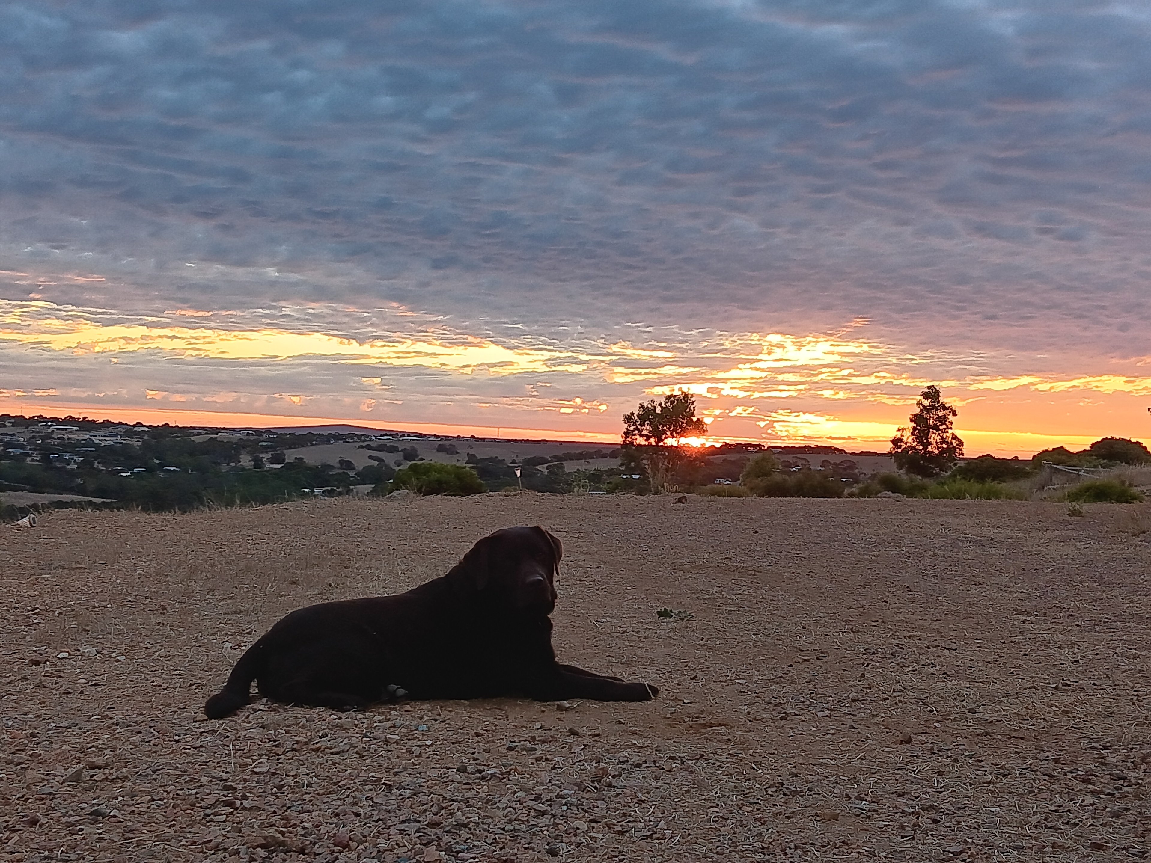 Sunshine at Tiatukia