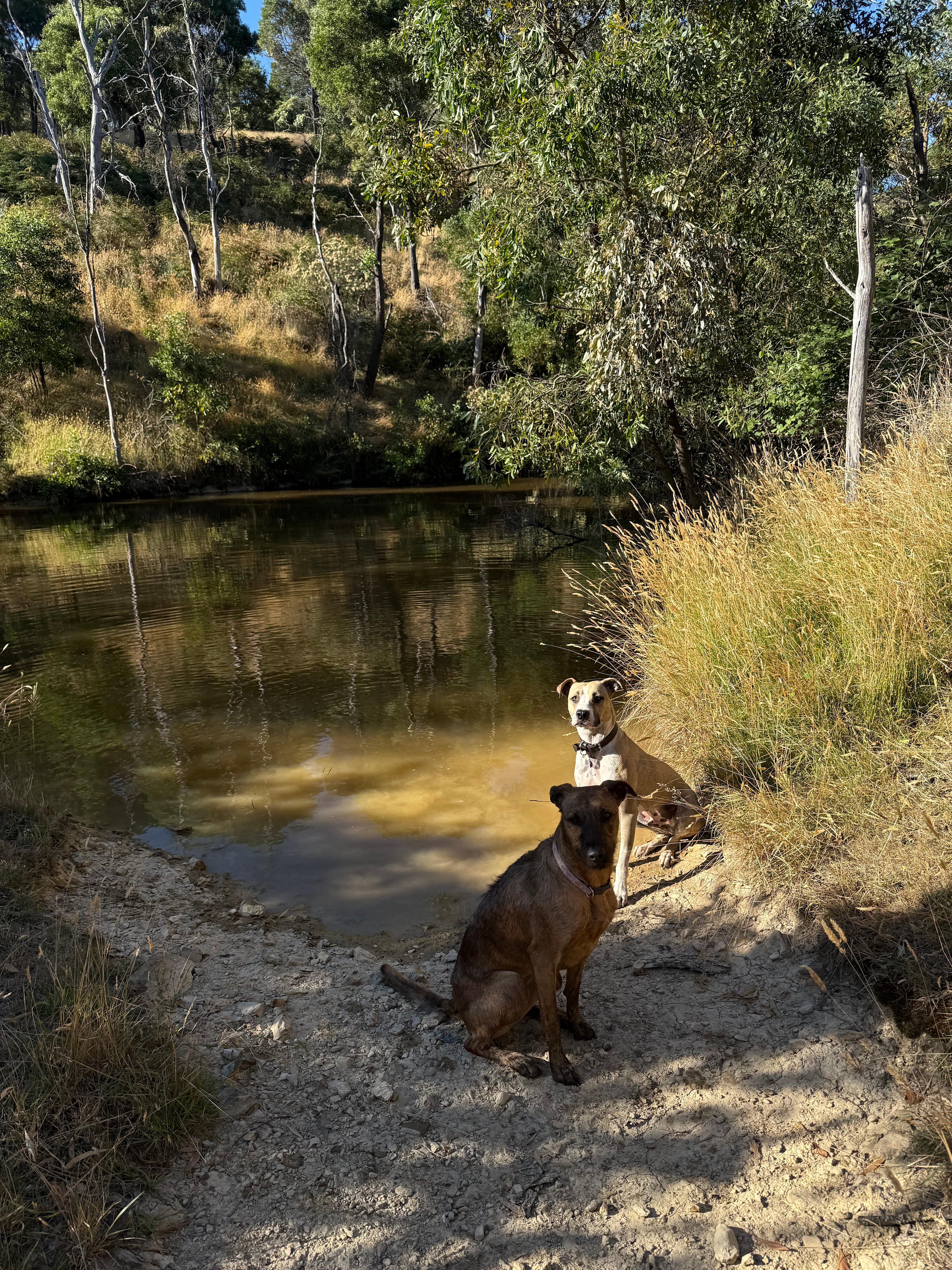 52 acre property with amazing views