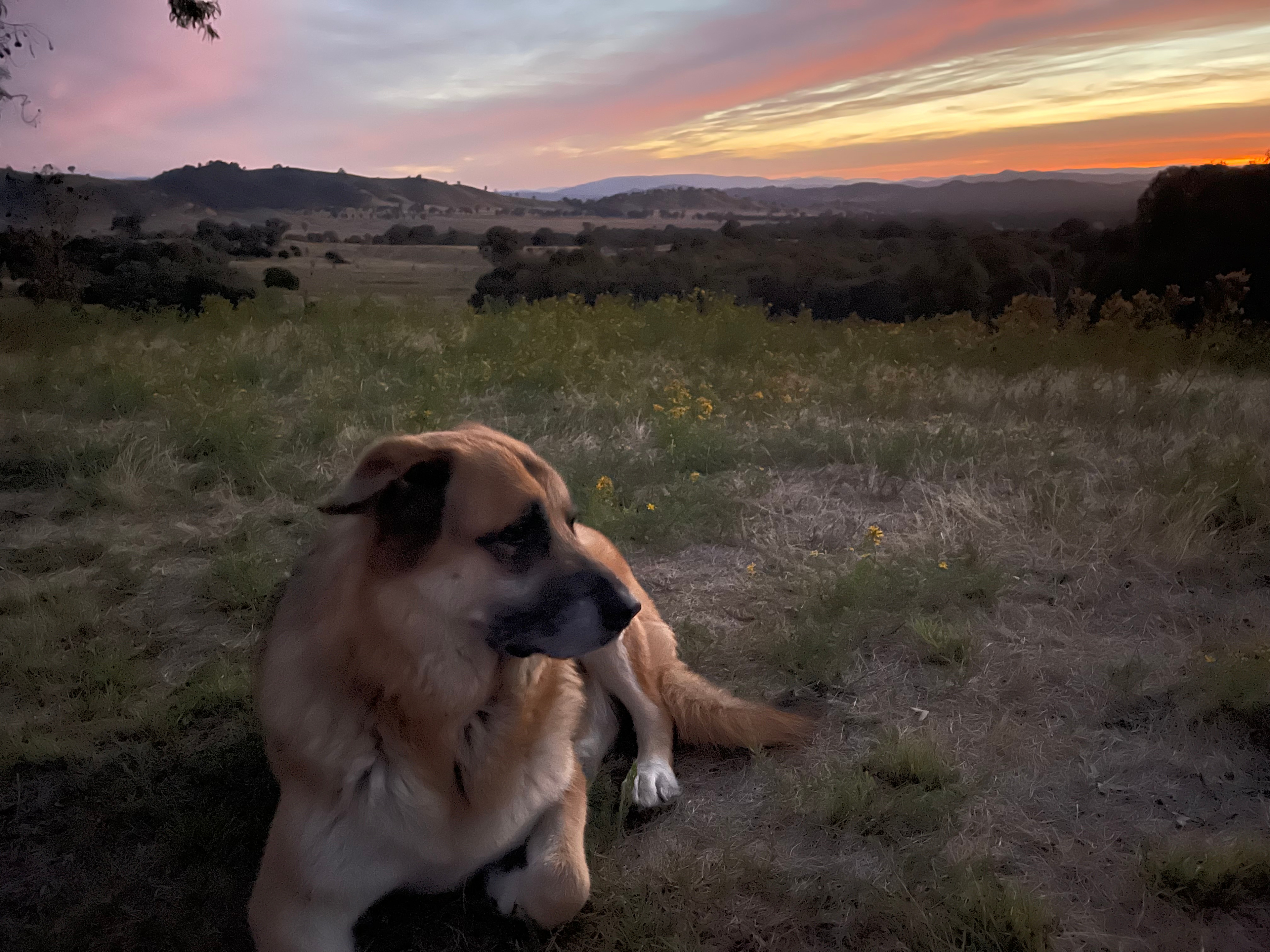 Panorama on Oxenbury