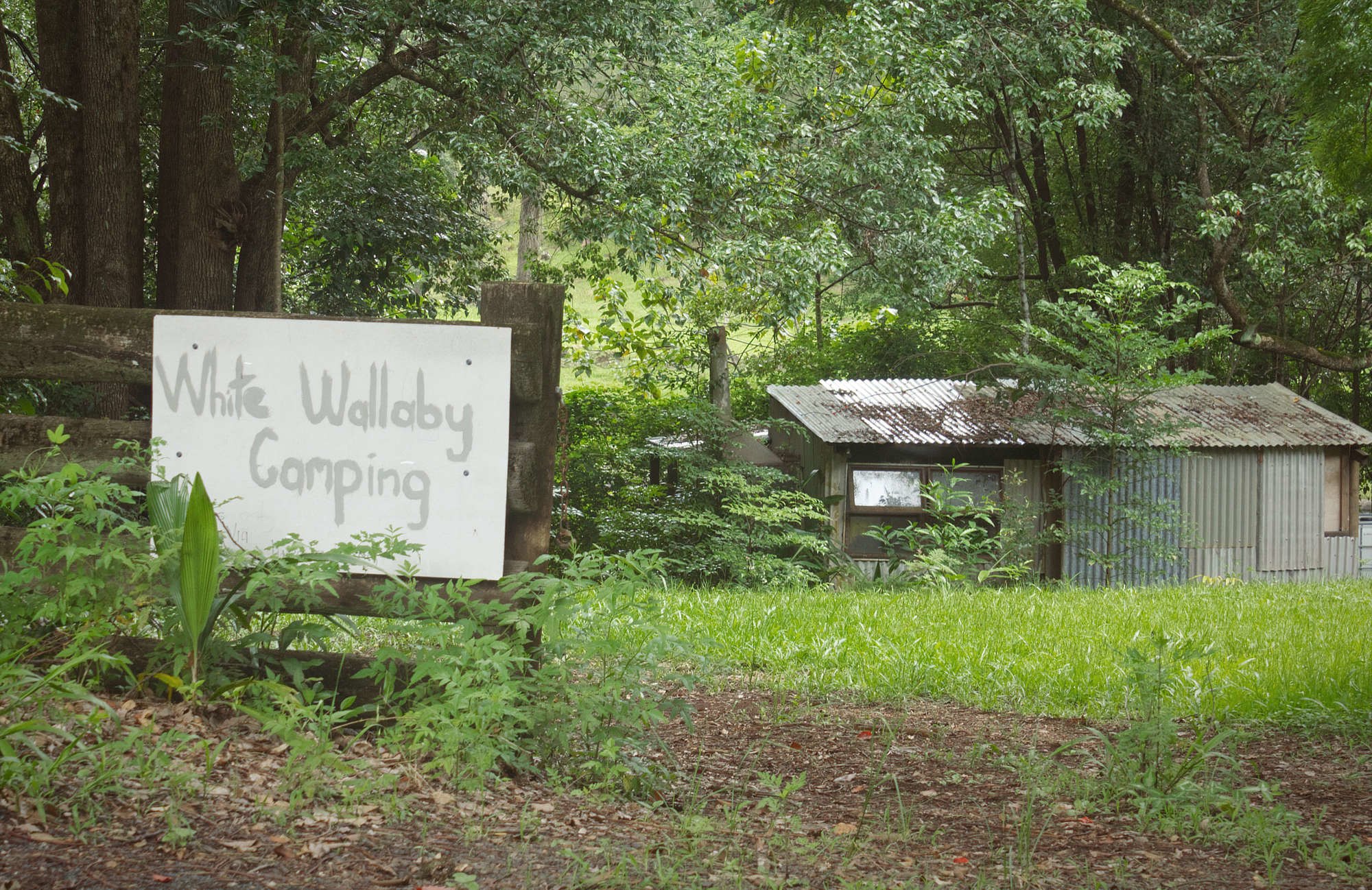 White Wallaby Farm