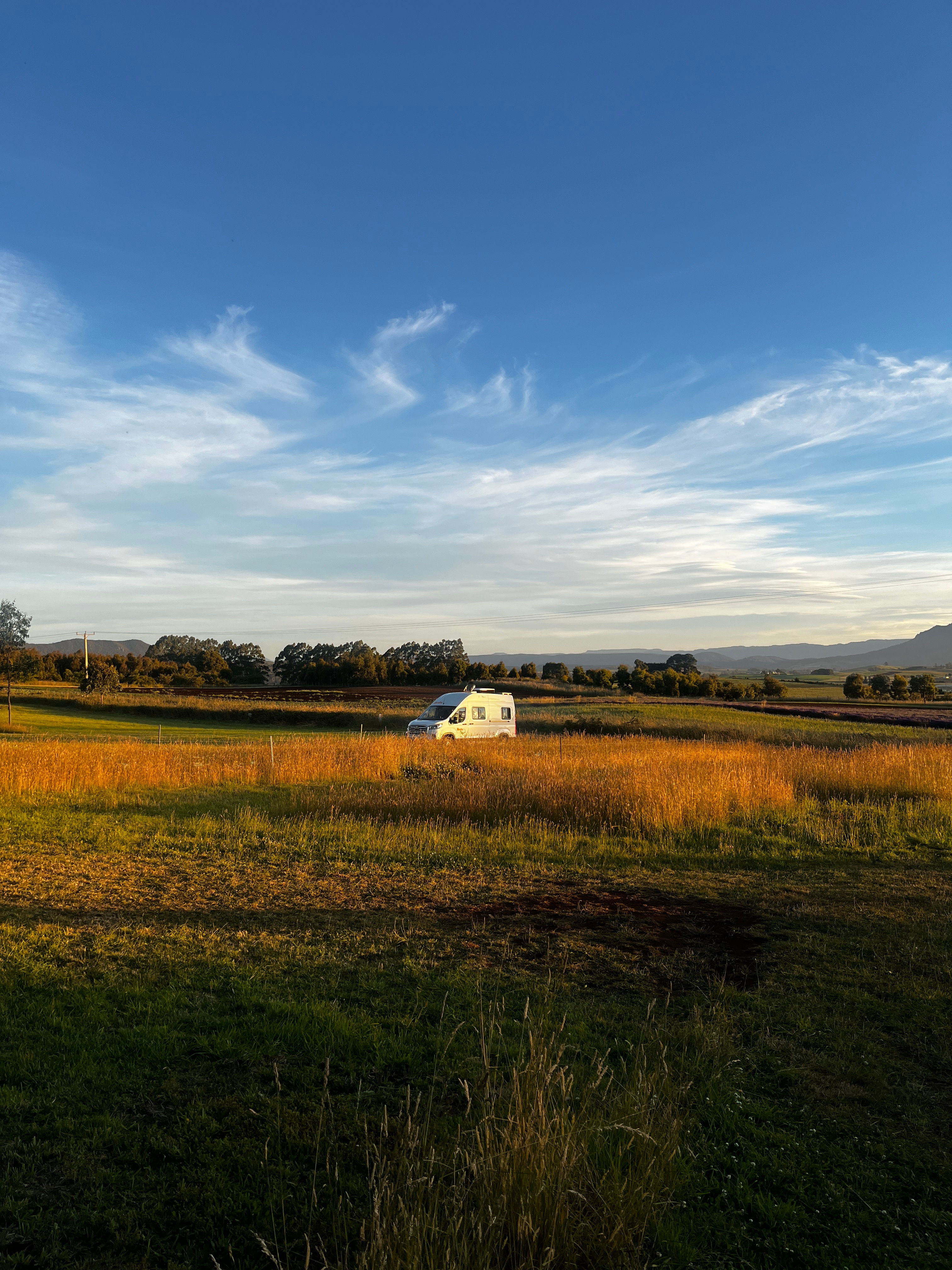 Marleen Herbs of Tasmania
