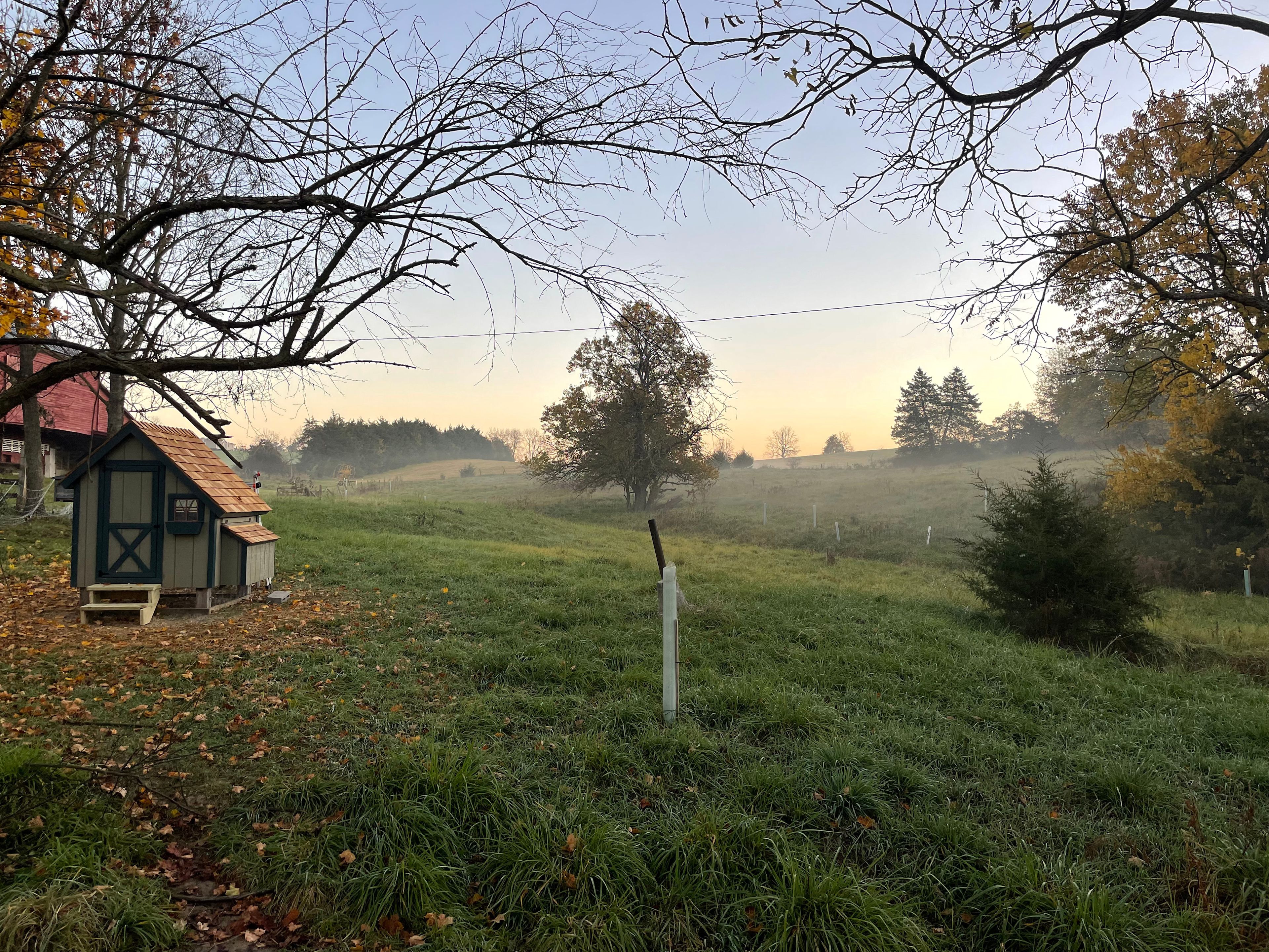 Golden Meadows Farm