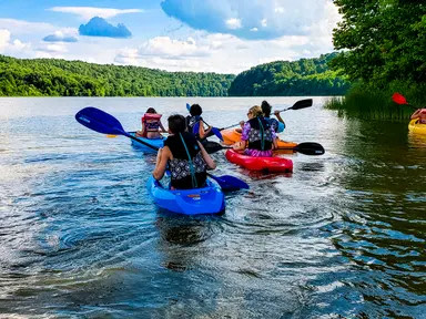 Ham Lake Resort