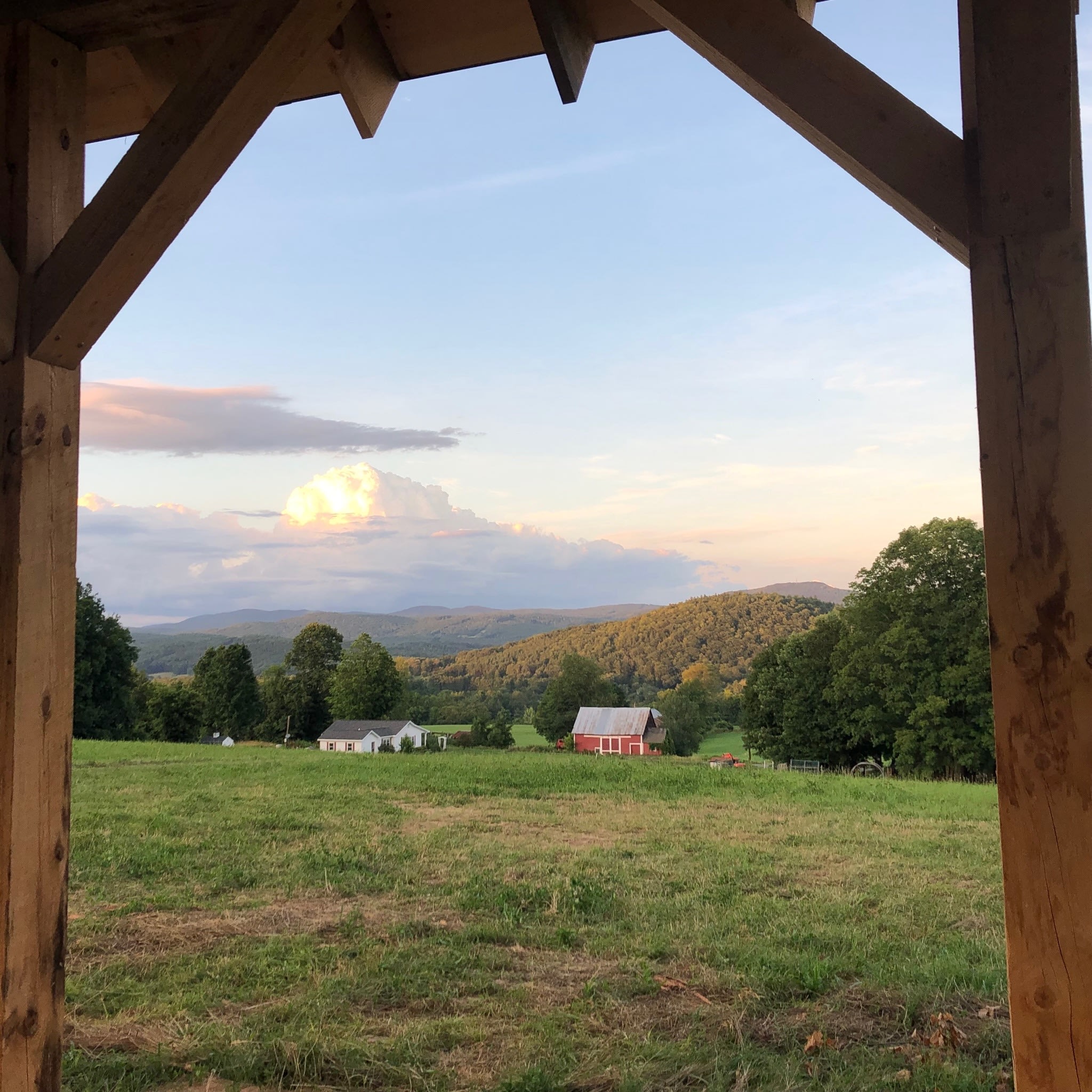 Dancing Bear Farm