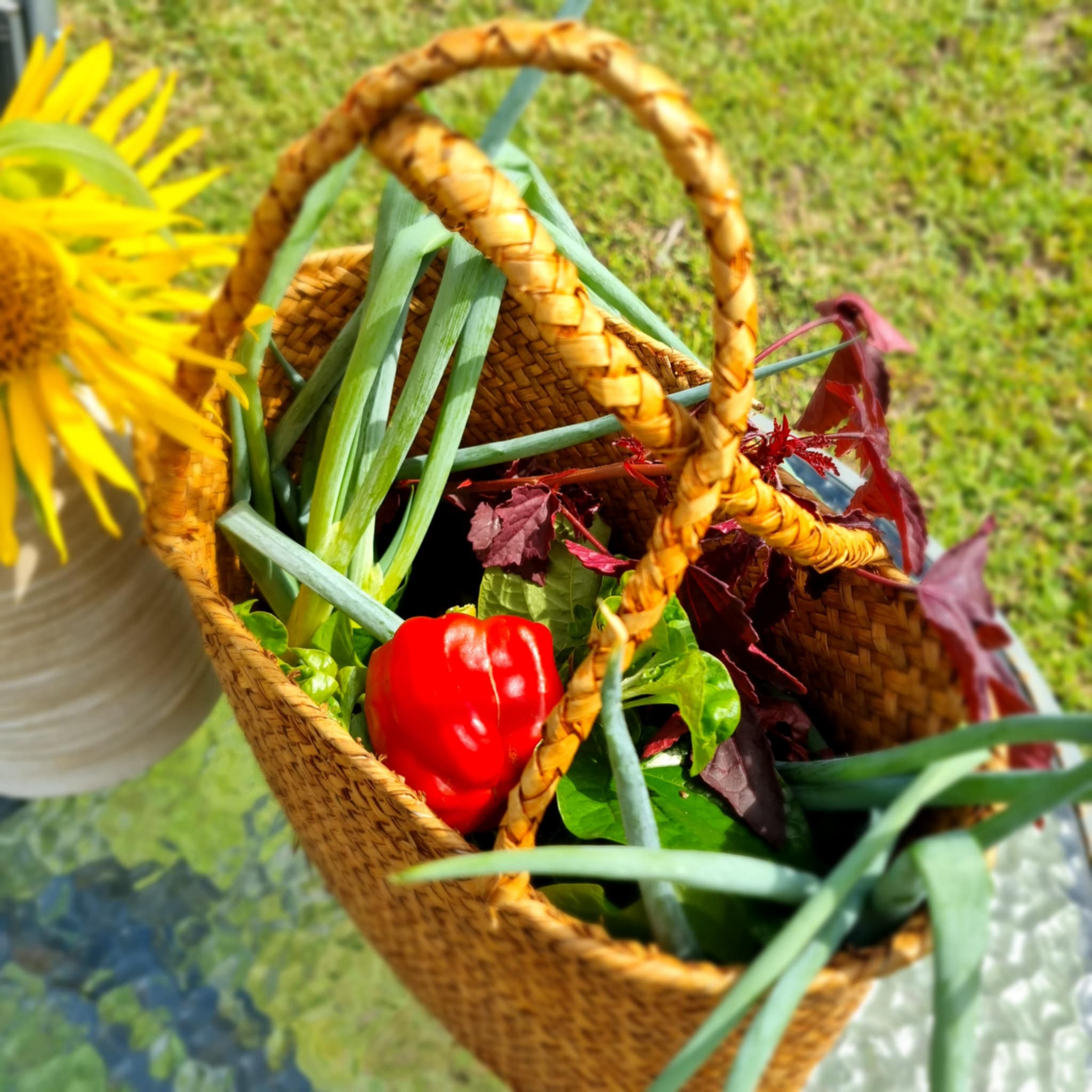 You are welcome to forage through our vegetable garden to add to your cooking