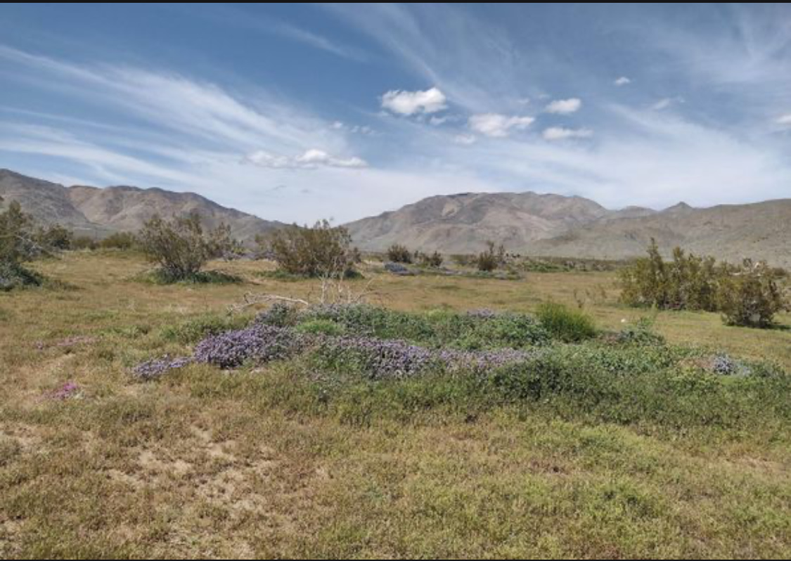 Nature Oasis Campsite