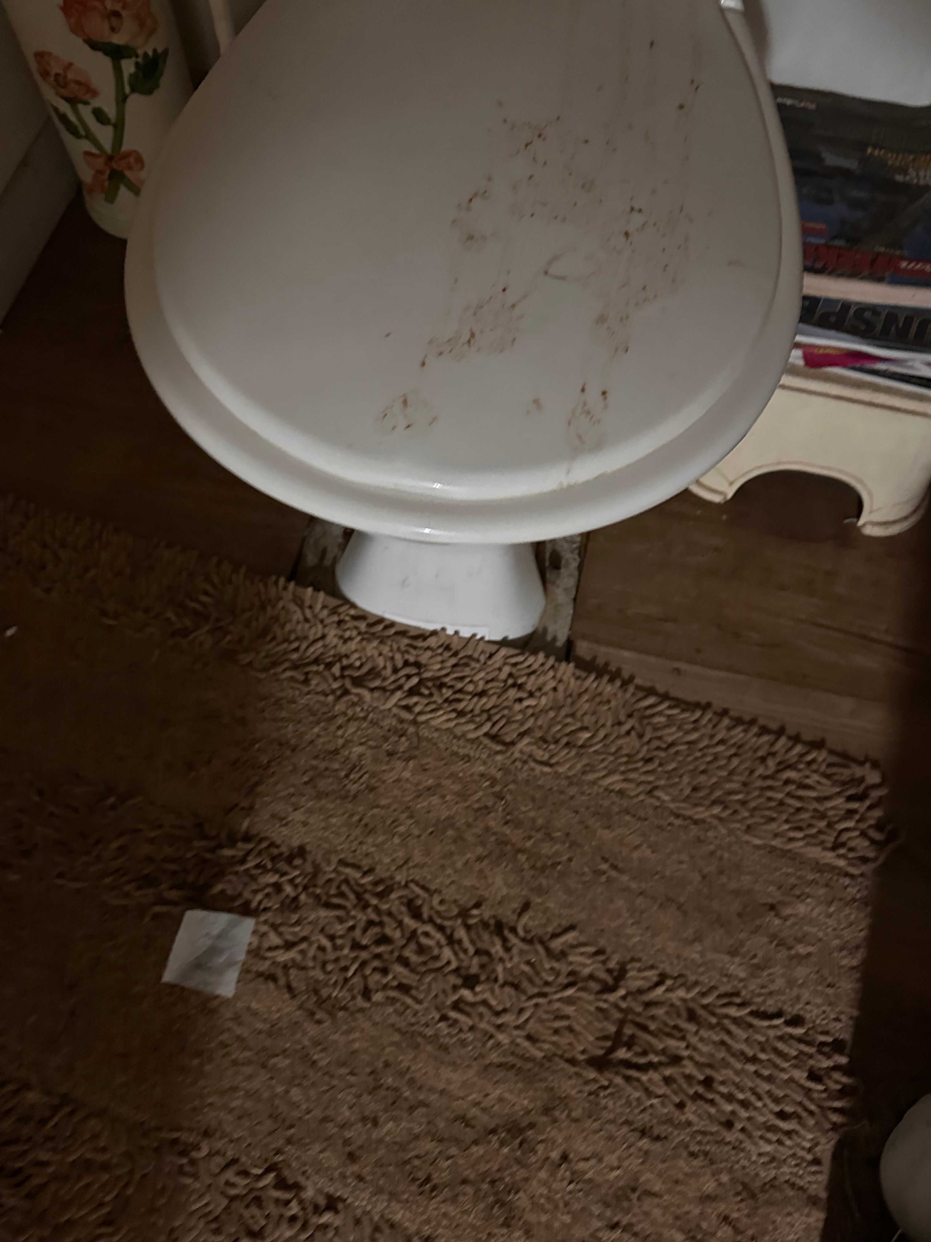 “Clear View” Farmstay and Camping