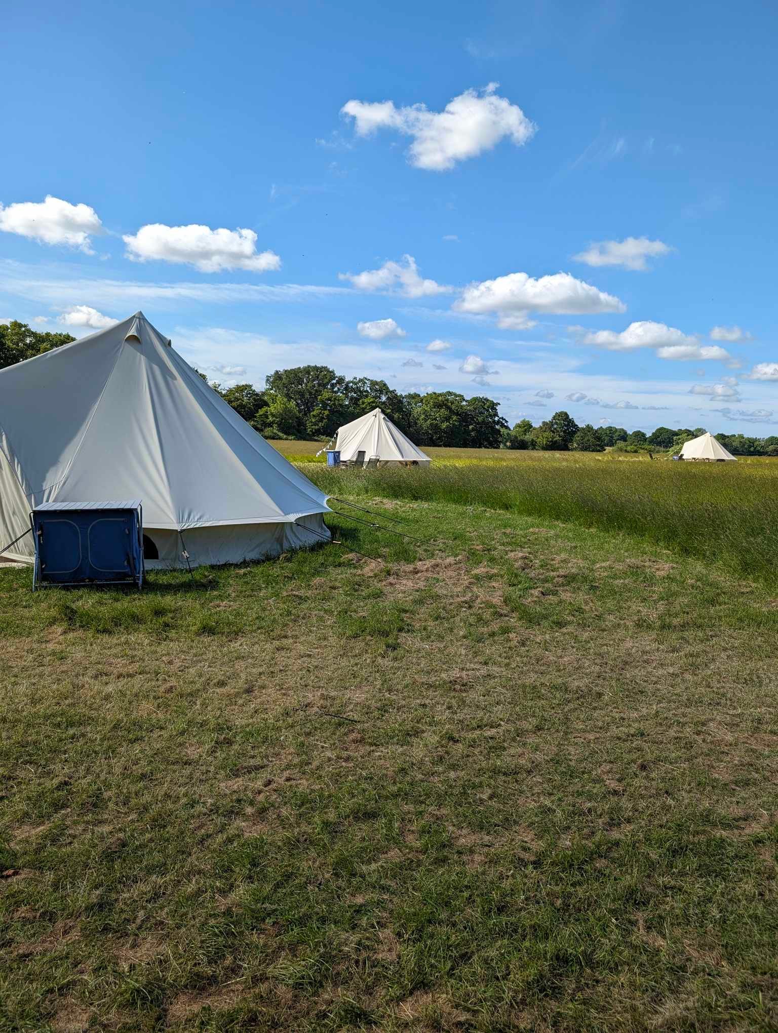 Setts Wood Camping and Glamping